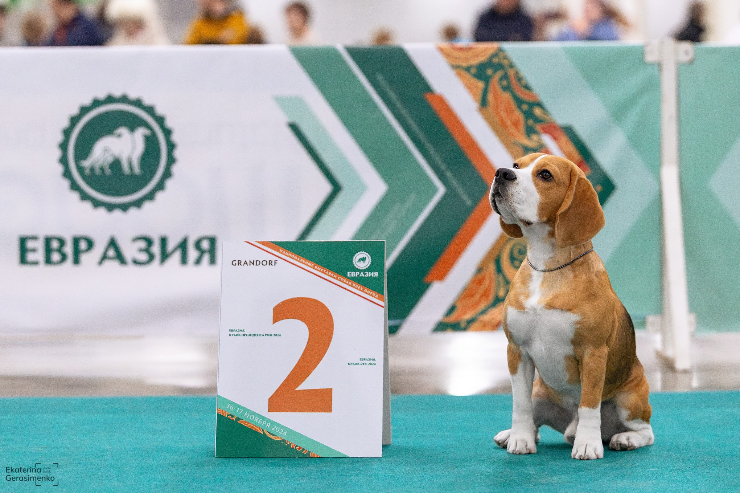 16–17 ноября 2024, Выставка ЕВРАЗИЯ, г. Москва. Htykk_photo