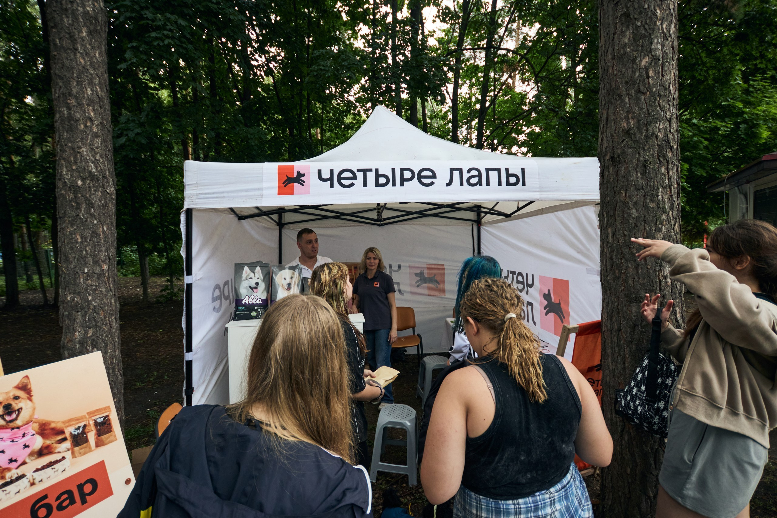 Четыре Лапы. Свадебный и репортажный фотограф Дмитрий Кононенко