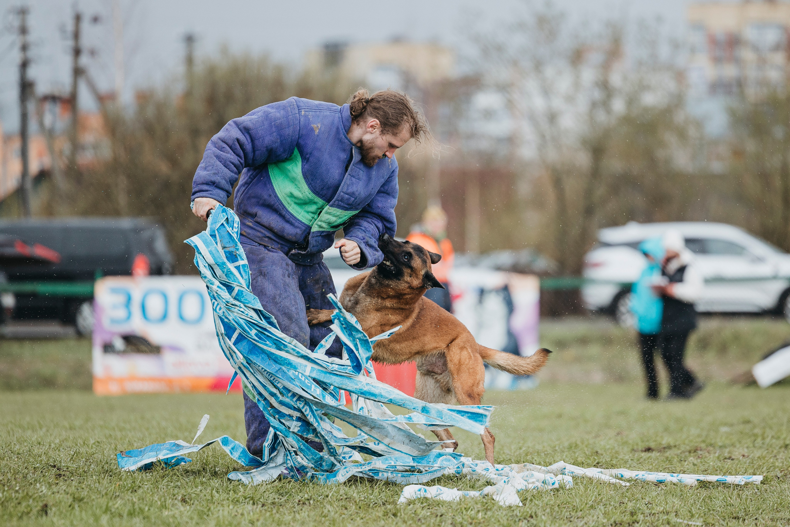 09.05.25 Вологда соревнования. Фотограф-анималист Анна Маринич
