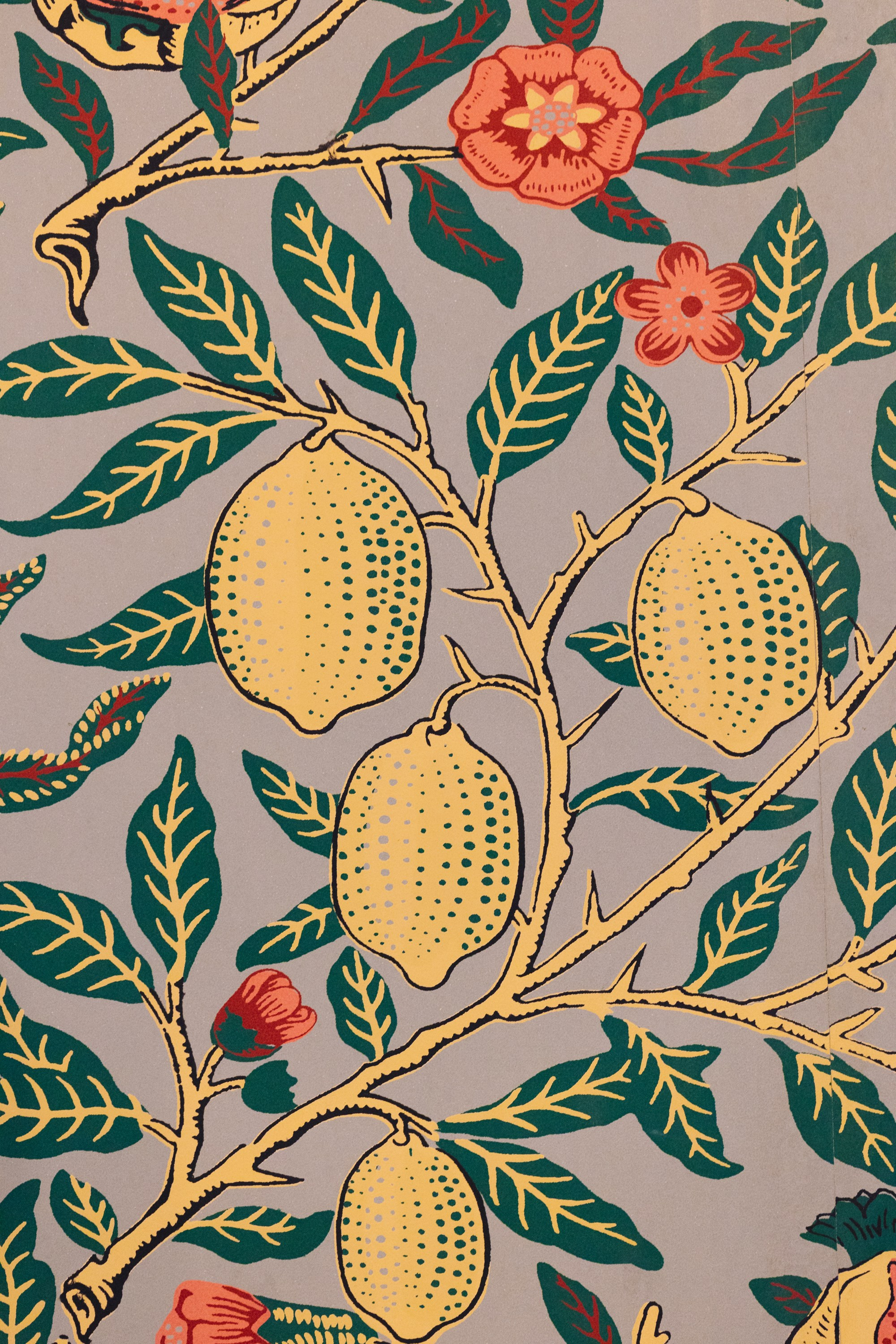 Портфолио контент фото для ресторанов. Контент фотограф в Москве Ник Фрост