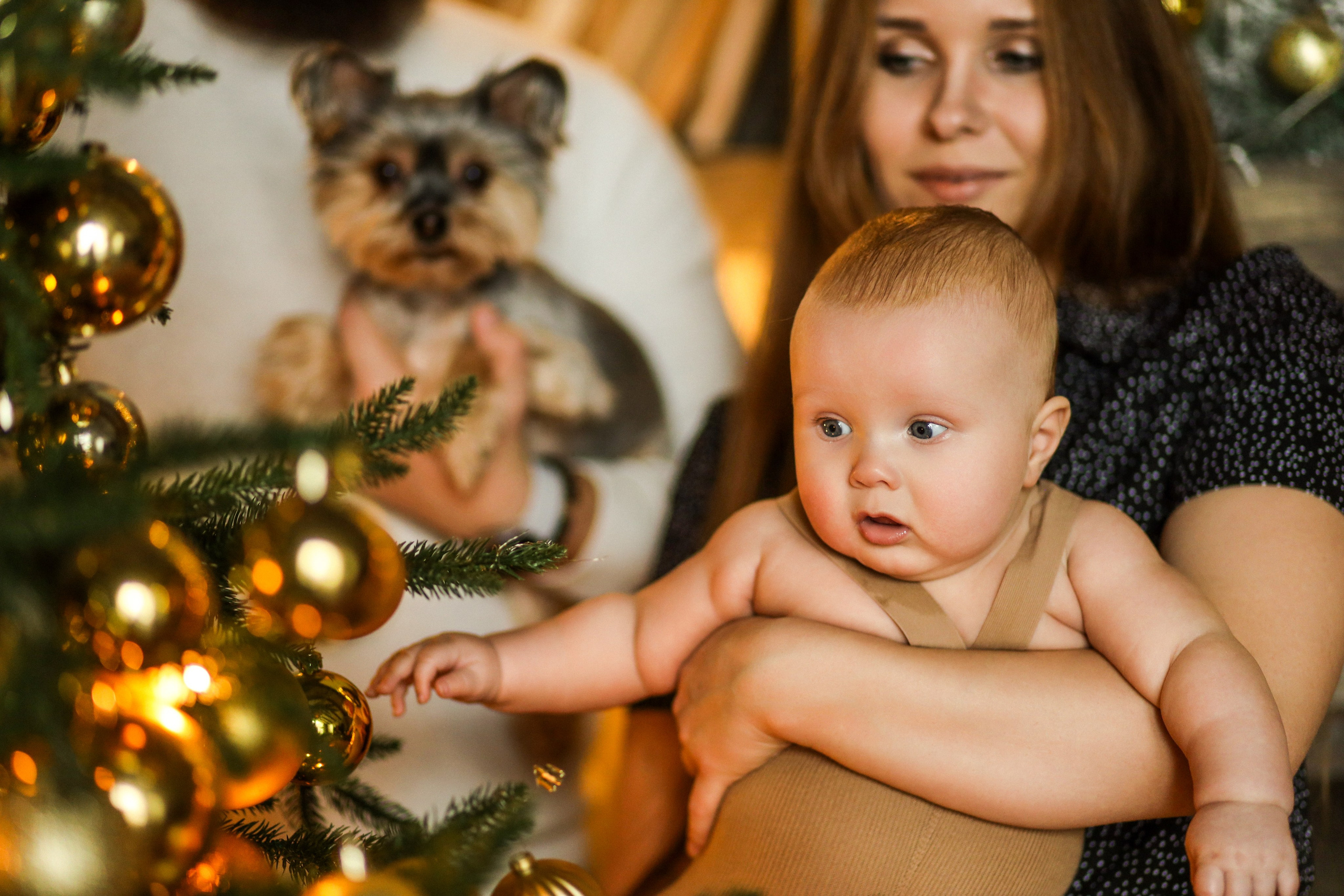 Alex, Anastasia и Аrseniy. Kharchenkotatianaweddingphoto