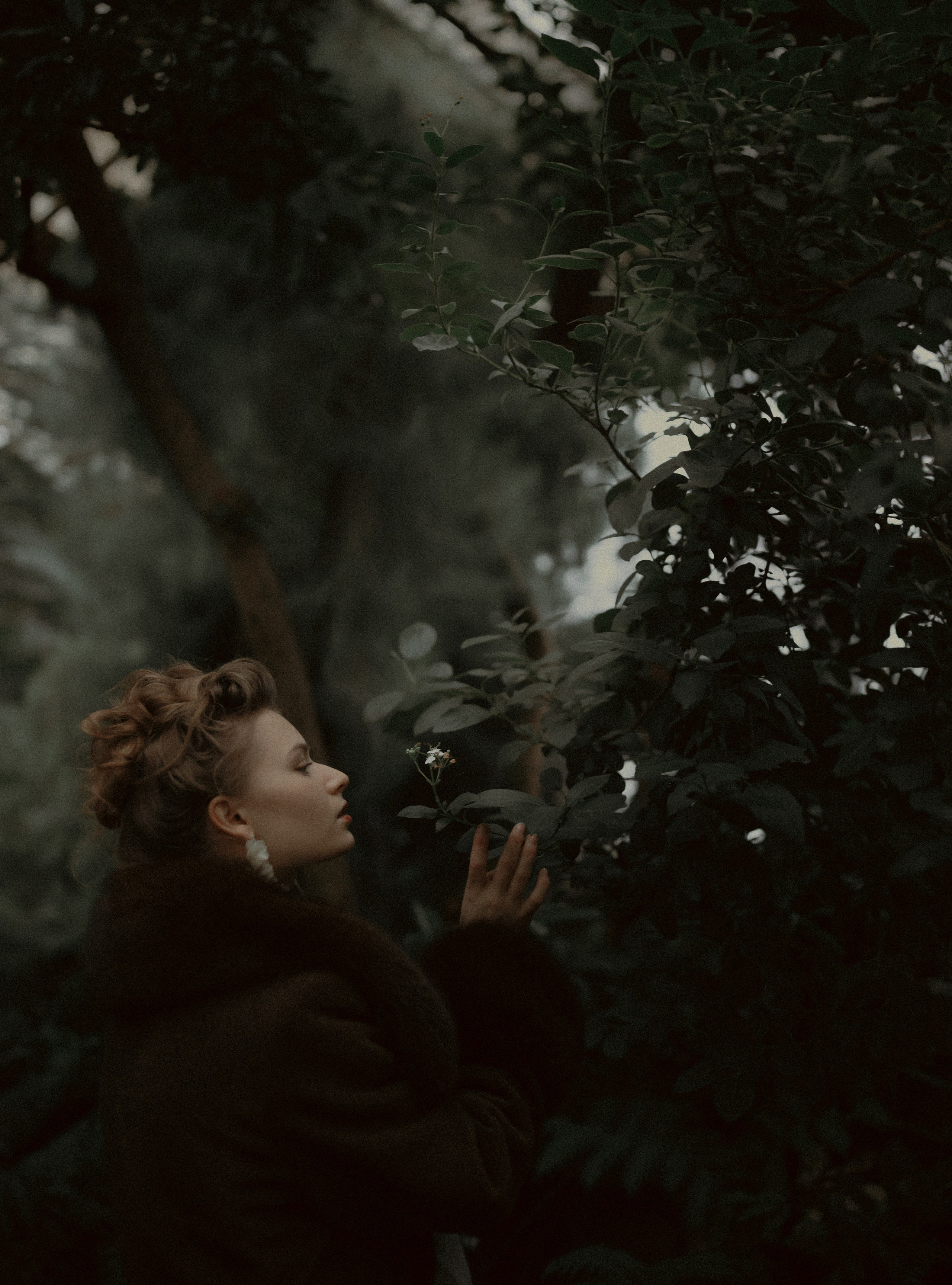 «Однажды в оранжерее». Твой проводник в мир ушедших эпох, романтики и женственности