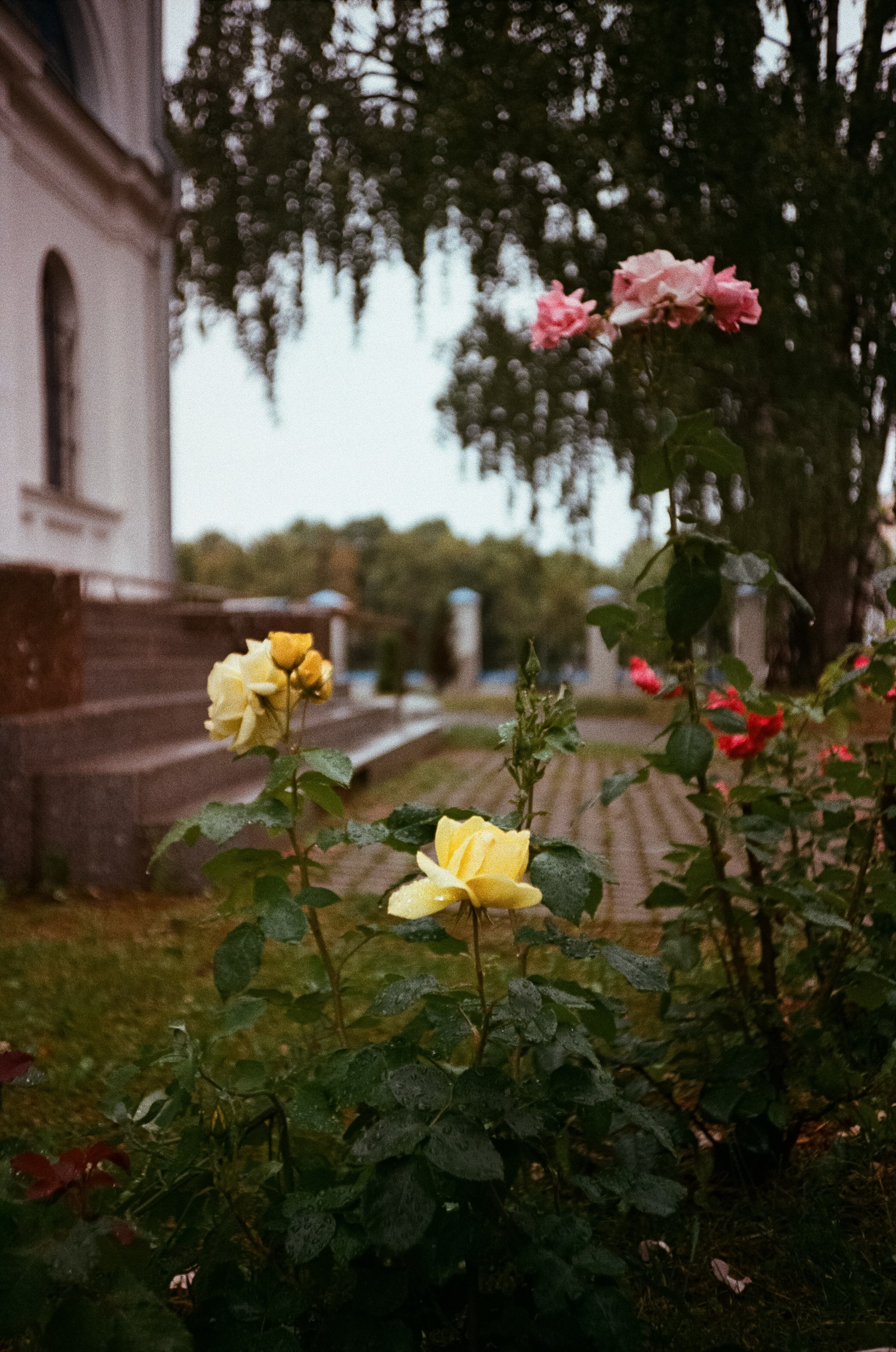 Приозерск, маяк Вуохенсало / Porst 35 / Konica Centuria 1600