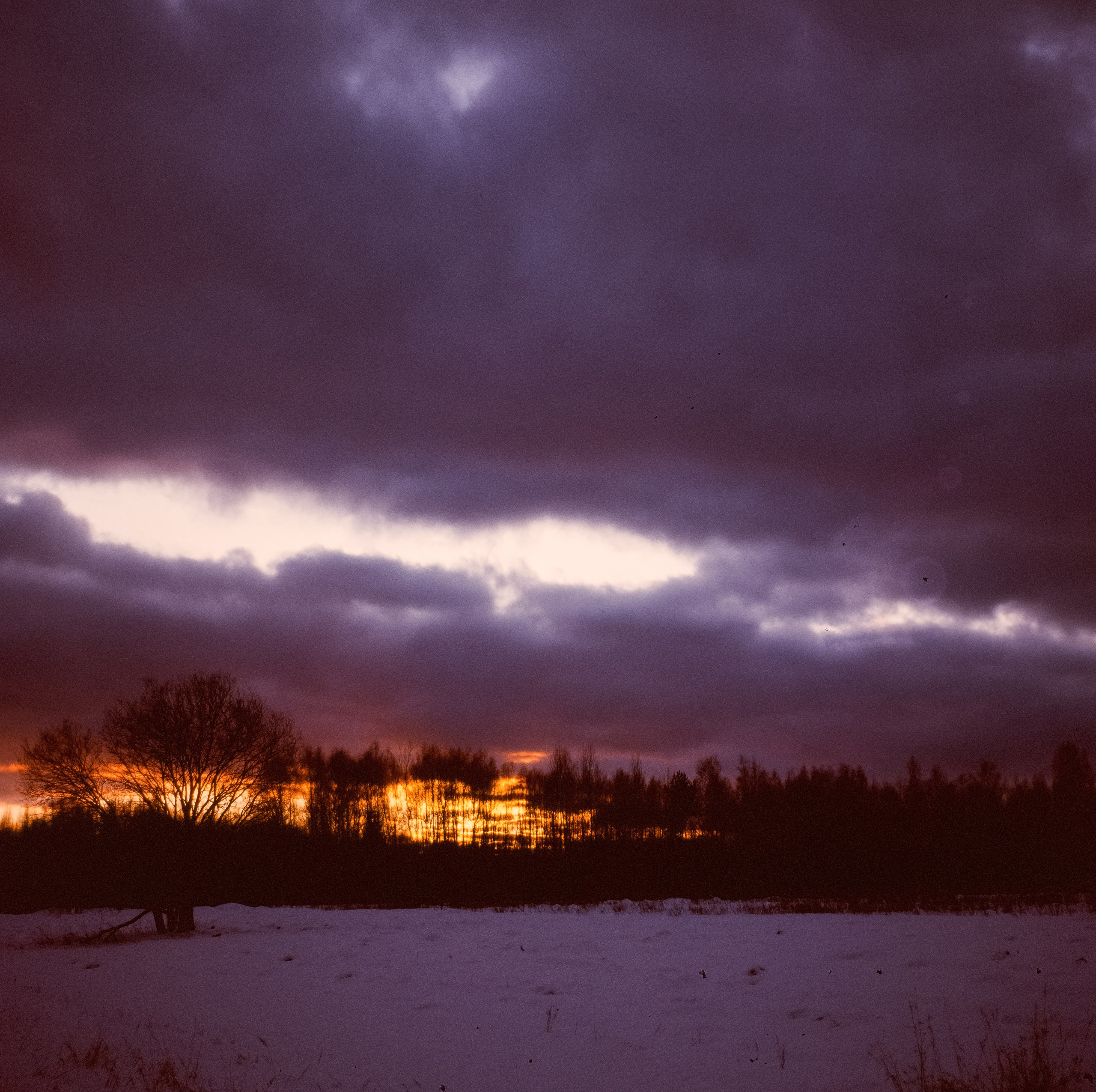 Kowa Six - Kowa 85mm f/2.8 (gray) Kodak Ektachrome E200