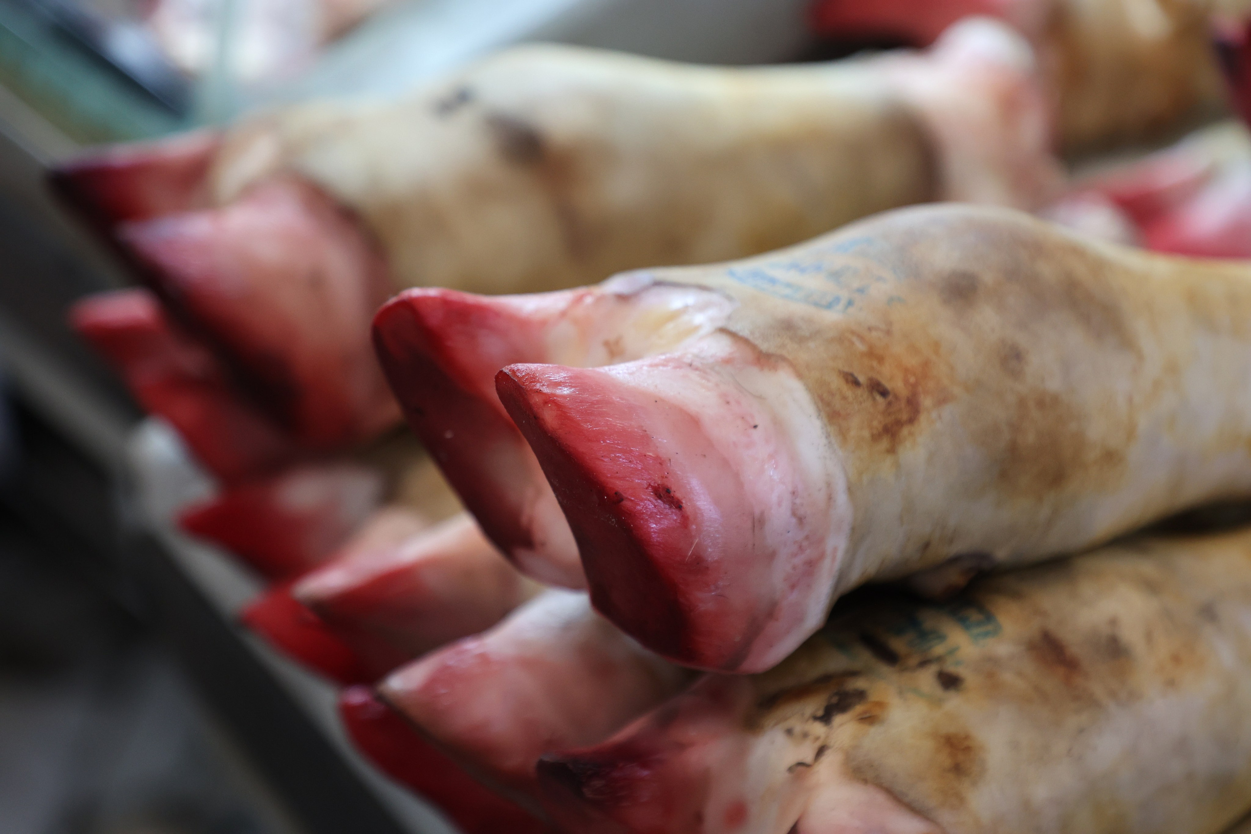 Tashkent, Uzbekistan. Andrey Filippov Photographer