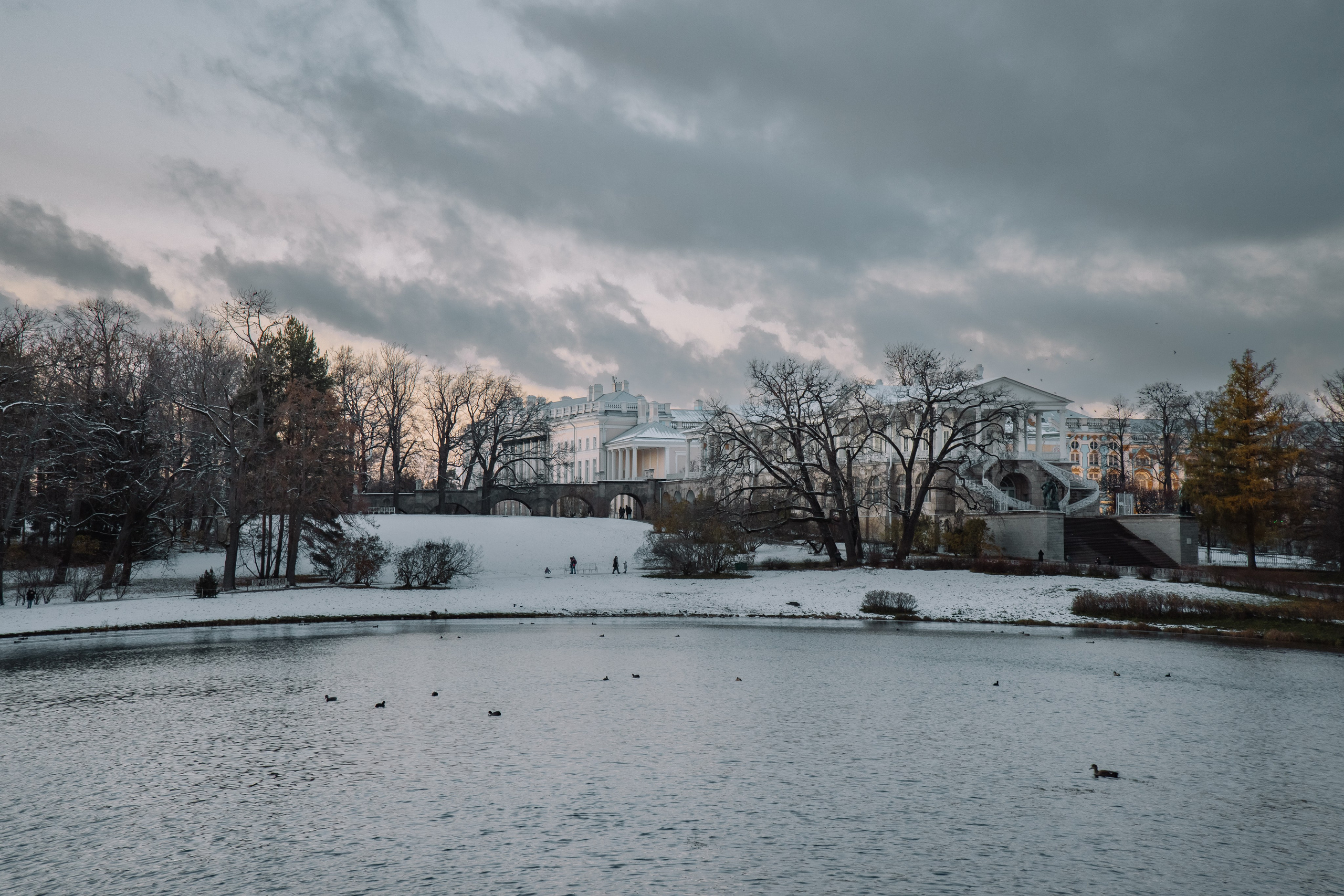 Пушкин | Екатерининский парк. Фотограф | Данил Шукан | Санкт-Петербург