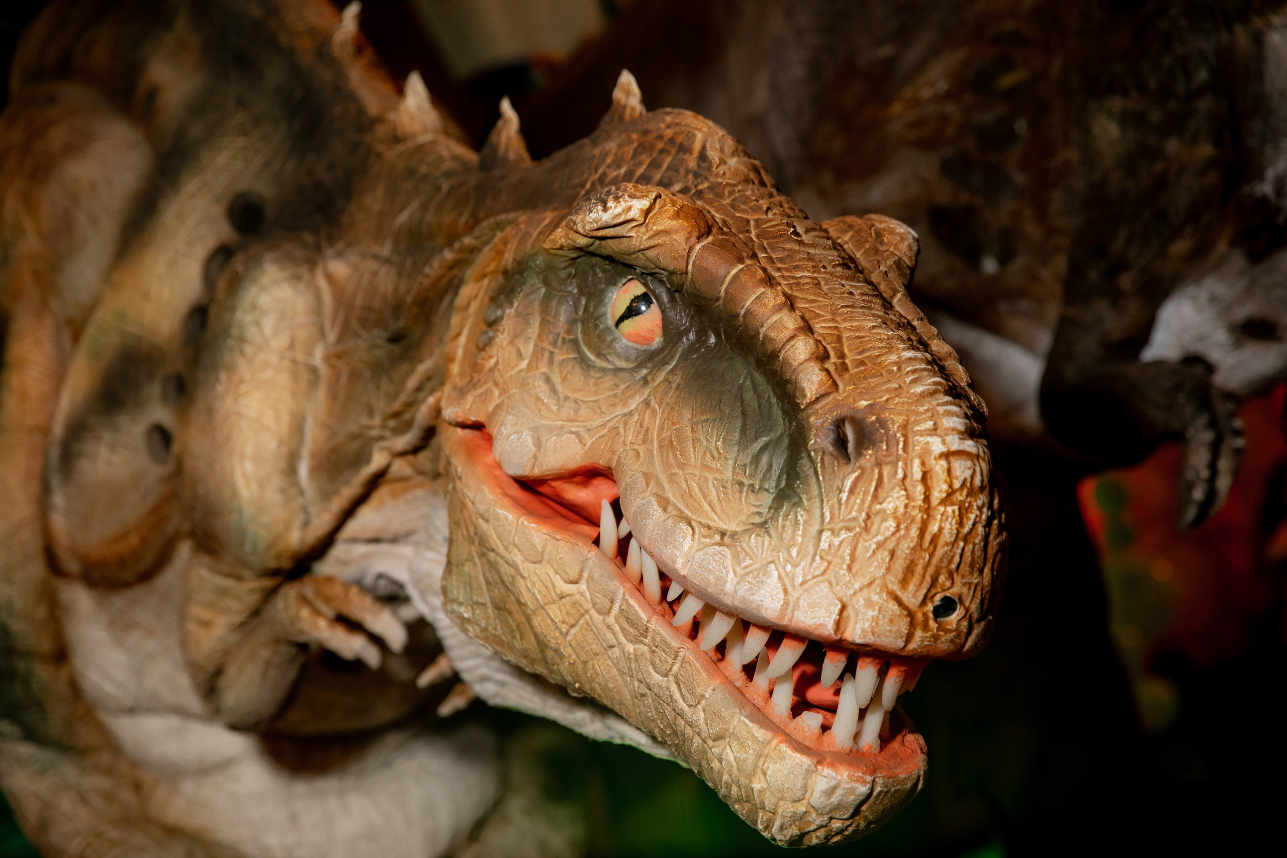 Детские праздники. Семейный фотограф в Москве