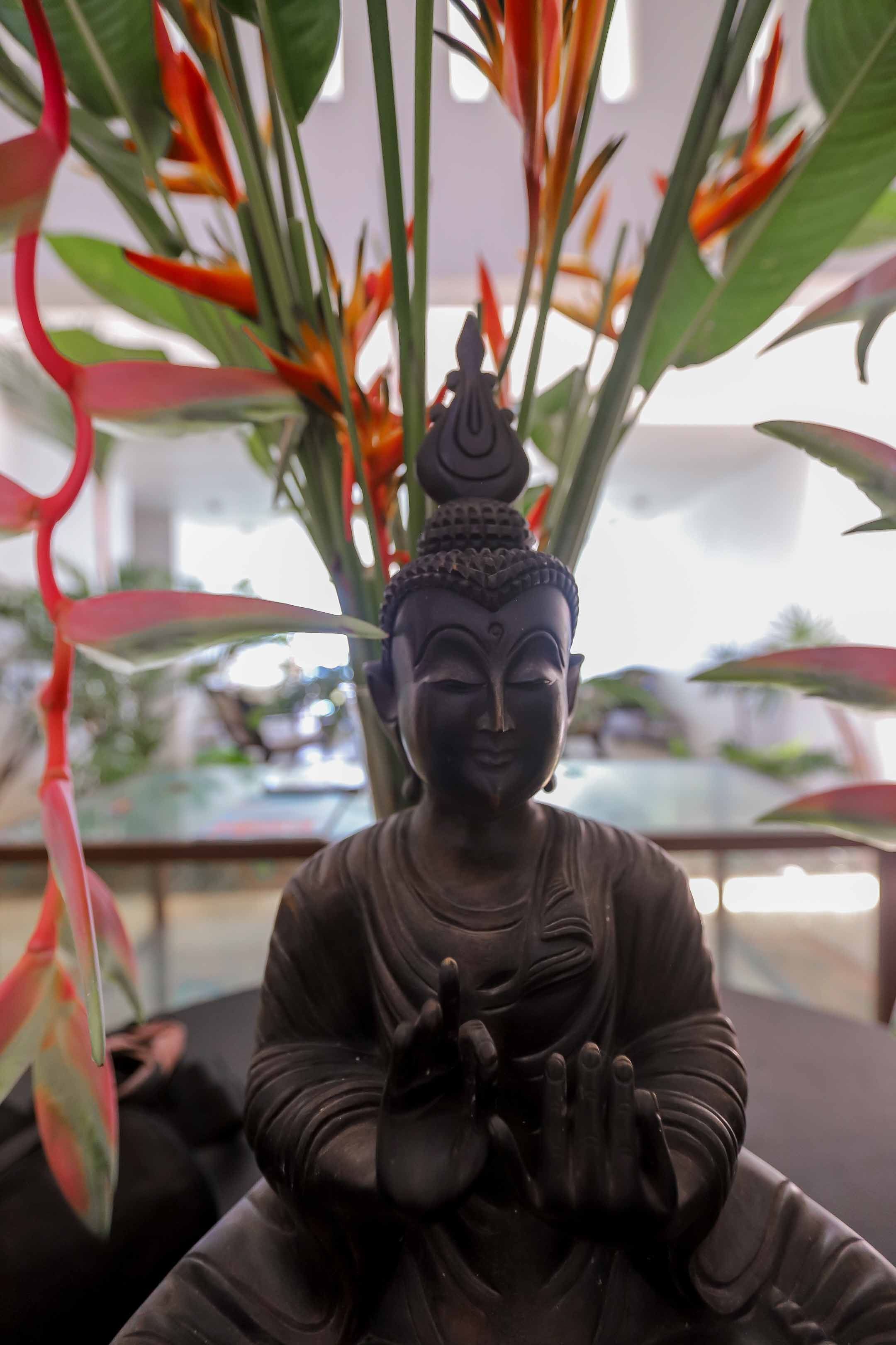 Отель пляж Хабарадува. Фотограф на Шри-Ланке