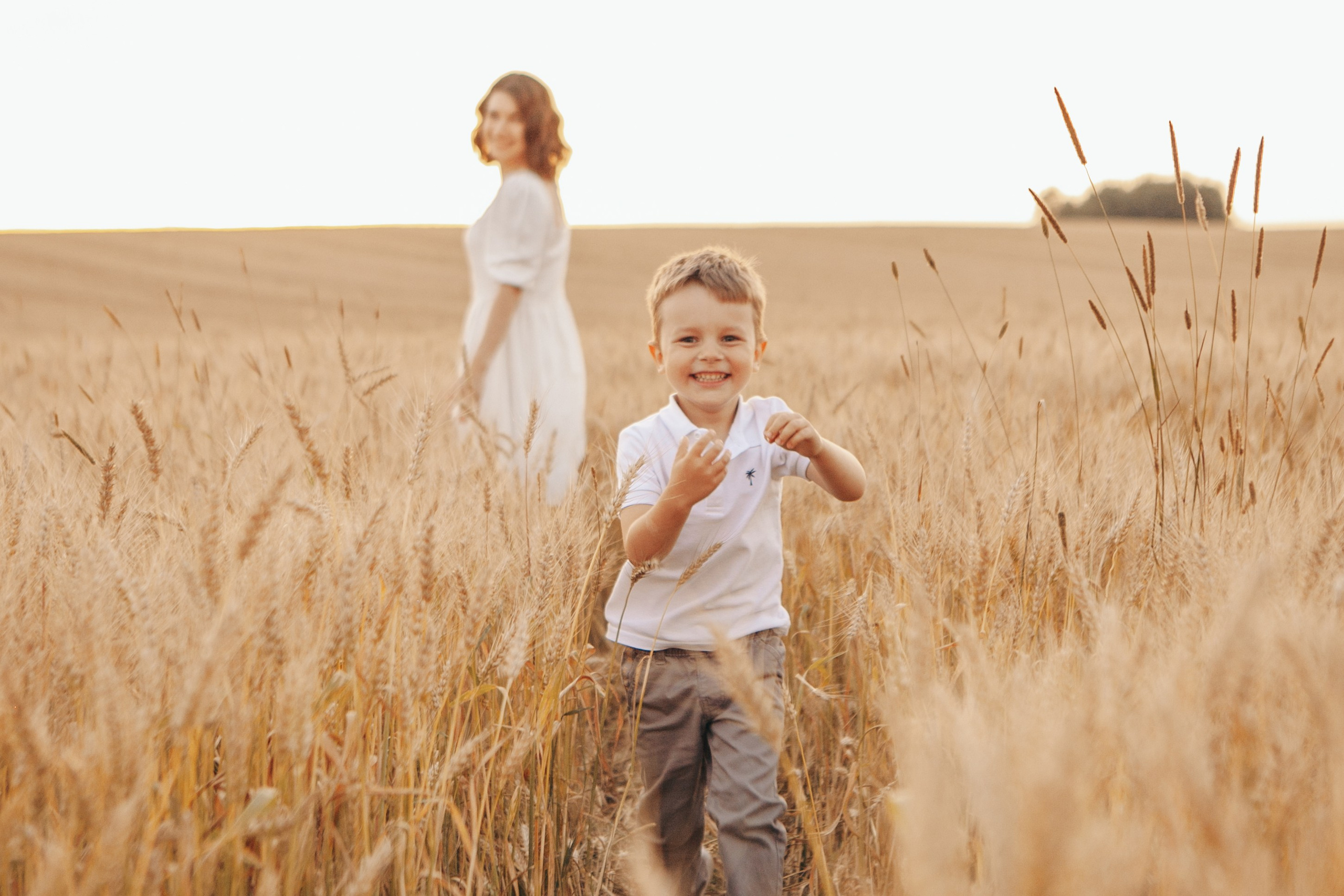 Семейная фотосессия в поле на закате. Фотограф Ольга Ефремова