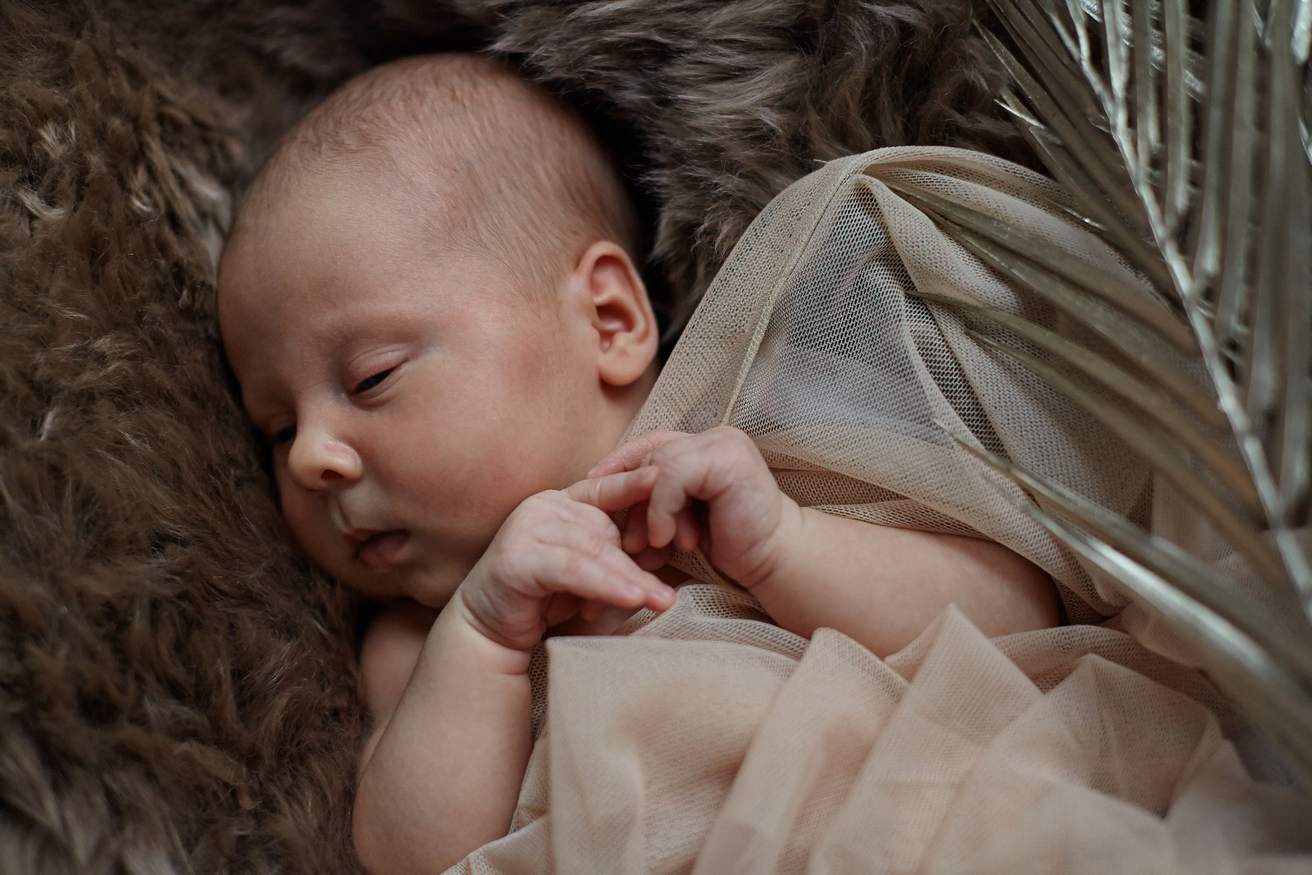 Есения. Фотограф Ольга Ефремова