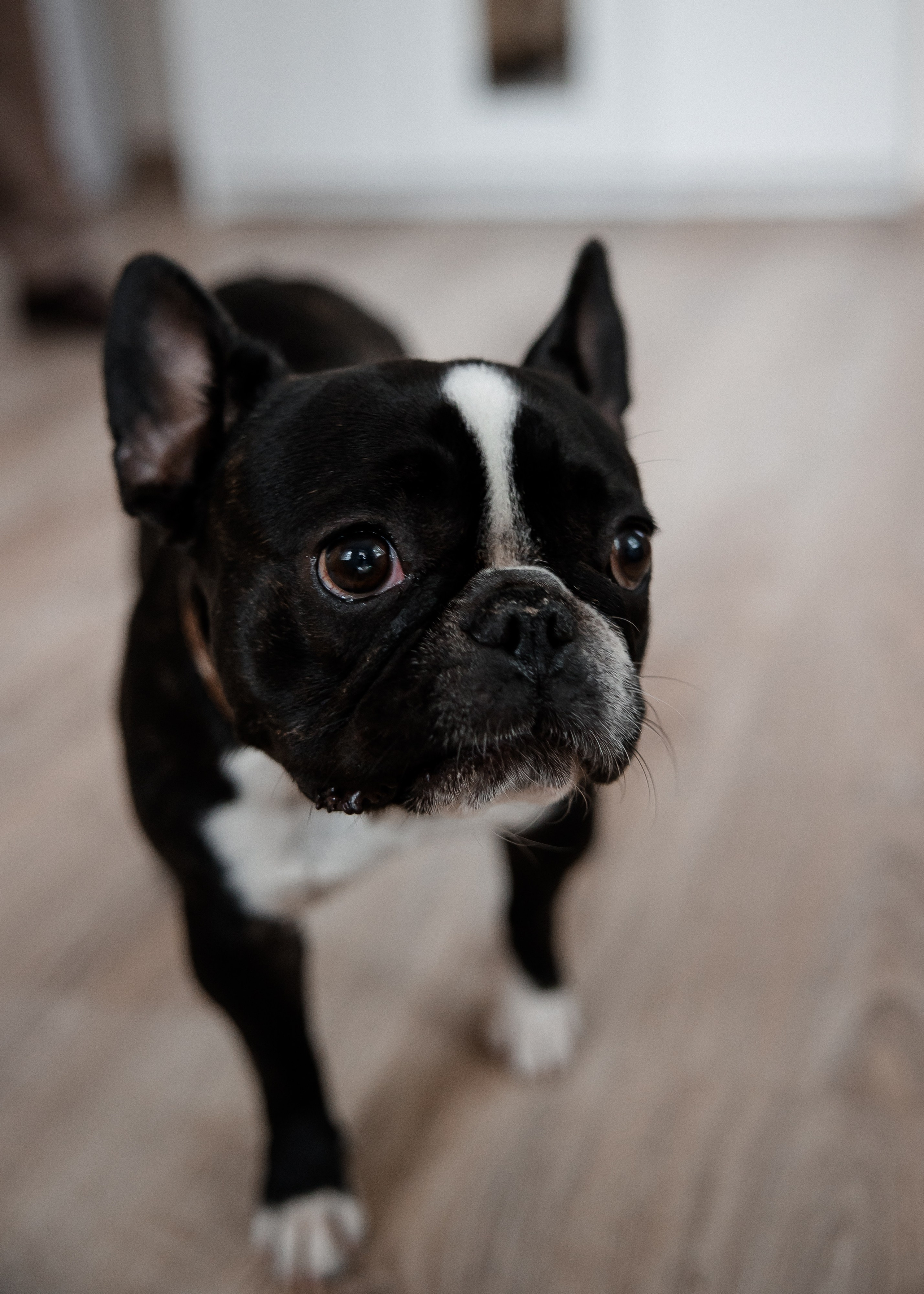 Алина + Паша. Свадебный и семейный фотограф в Саратове Маша Паника