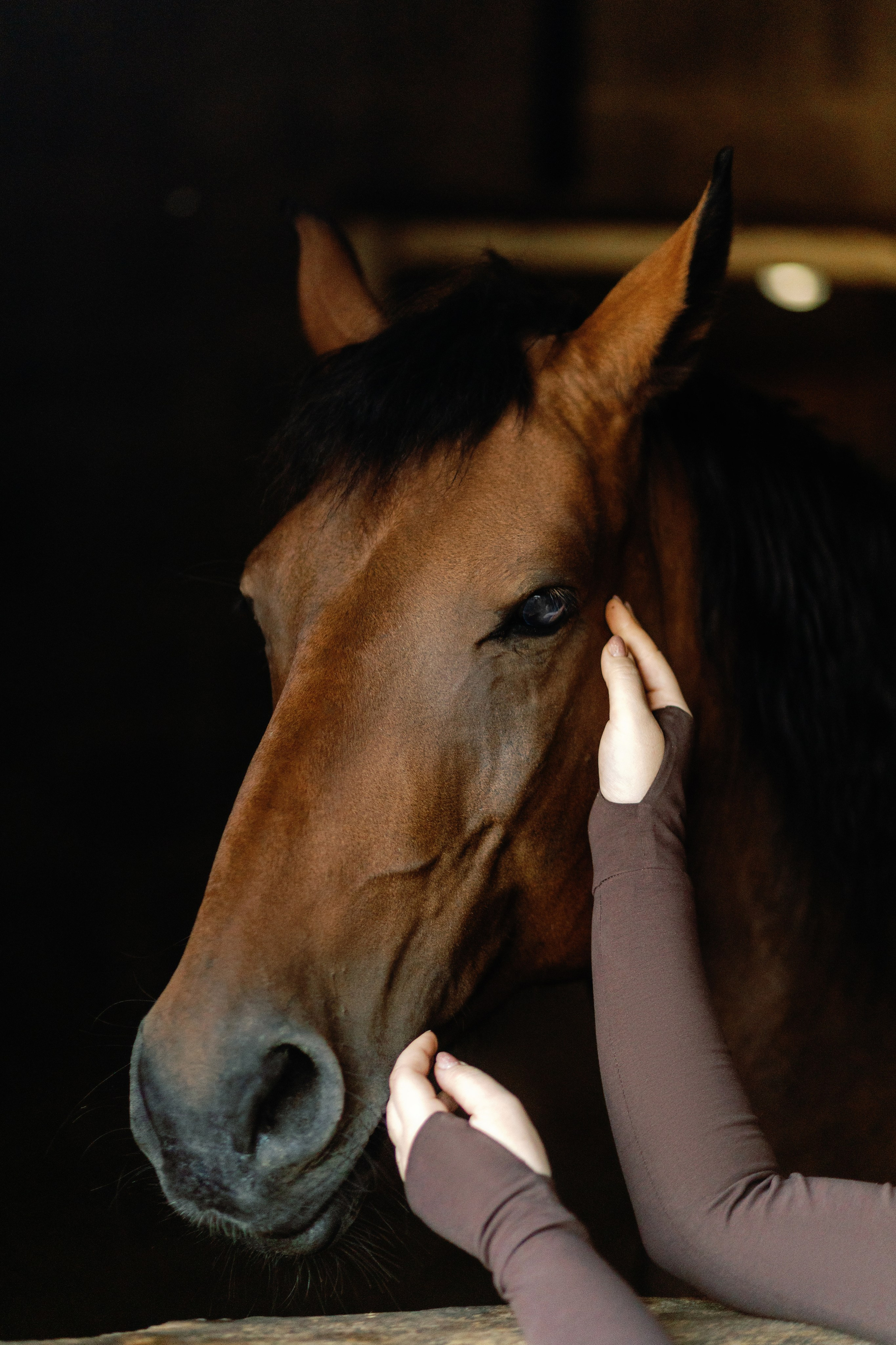 Женская фотосессия на лошади в городе Ростове-на-Дону