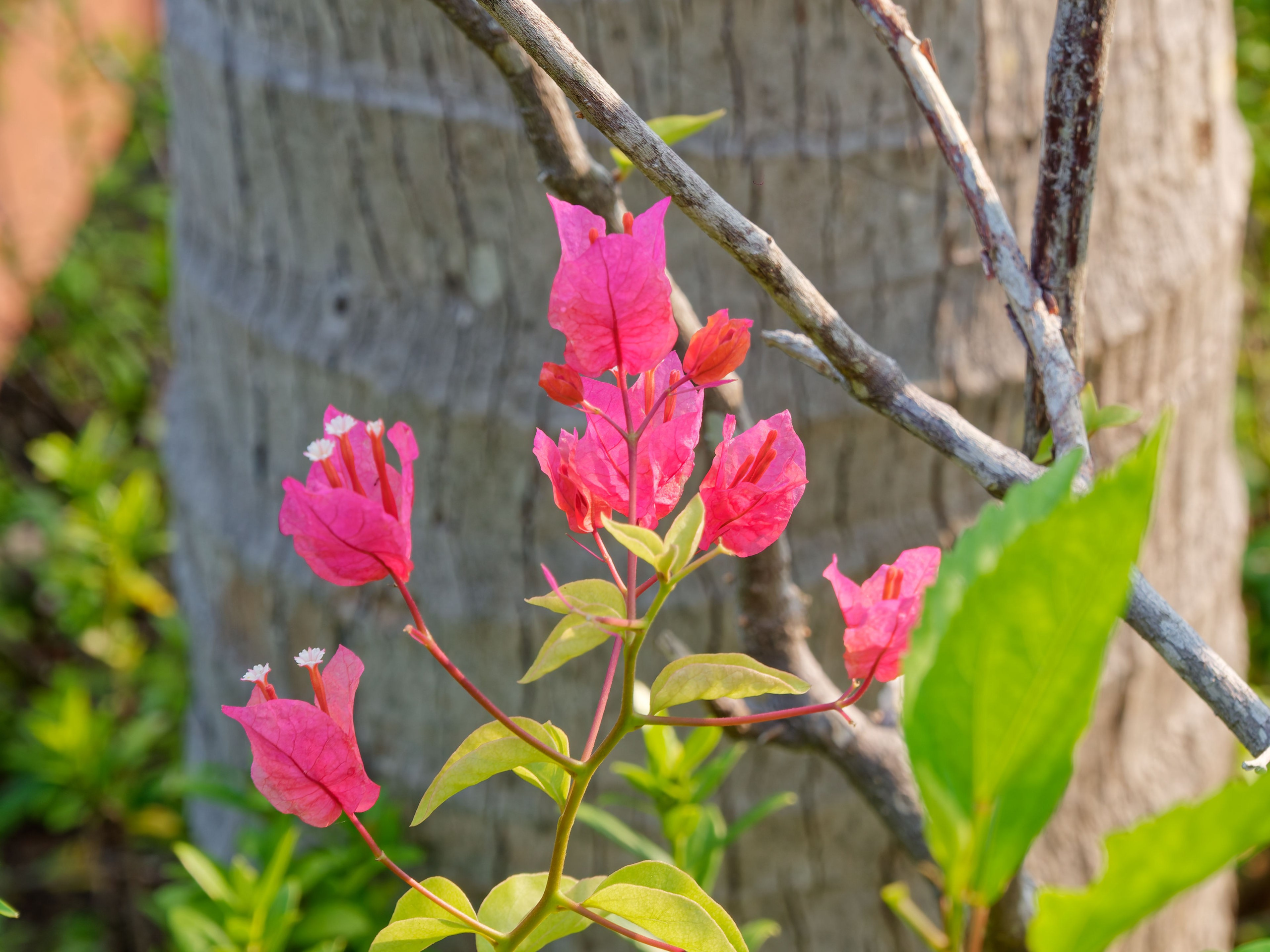 Хайнань 2026, первые впечатления. Фотопрогулки по Миру