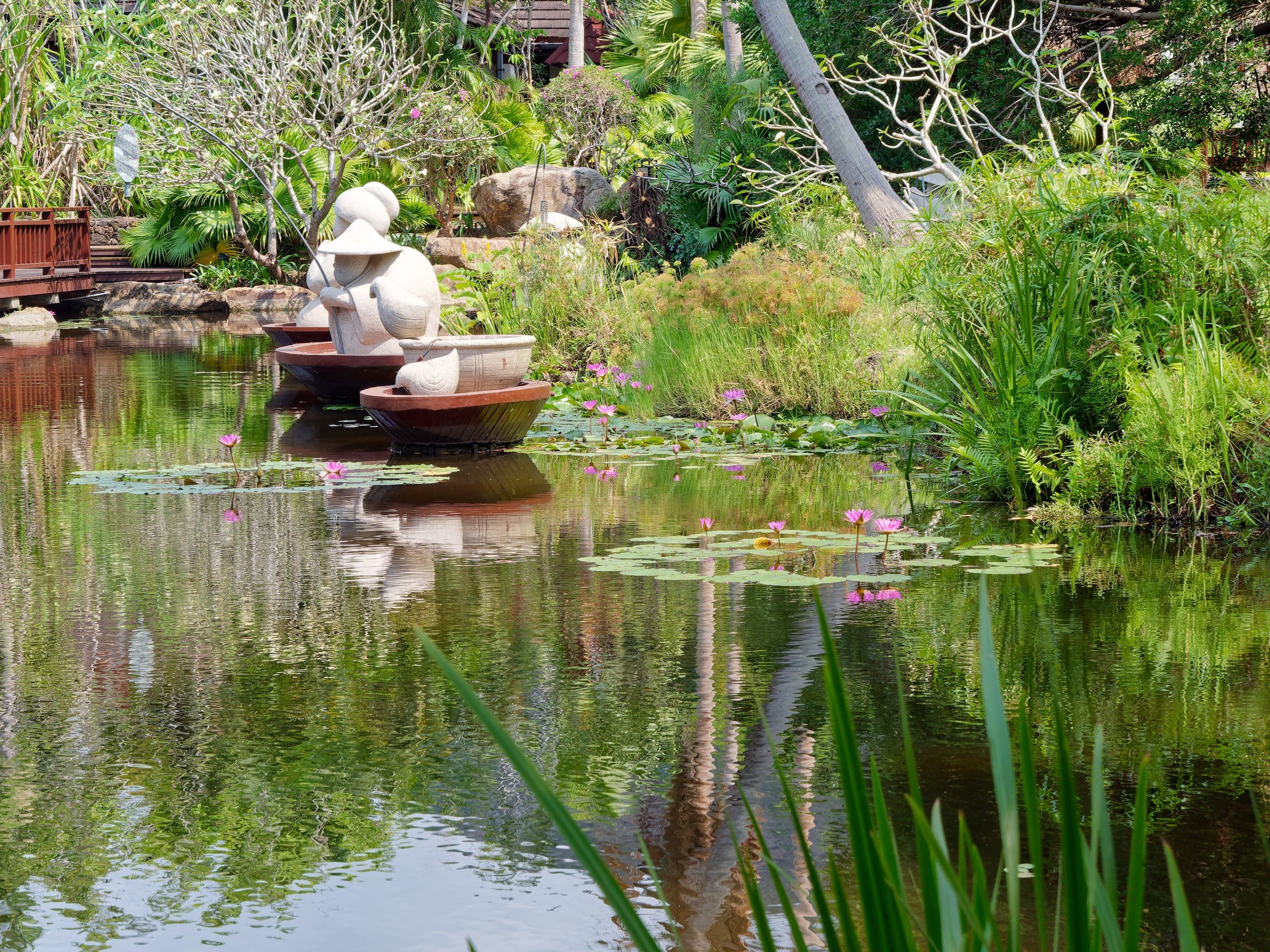 Хайнань 2026, флора, цветы и деревья. Фотопрогулки по Миру