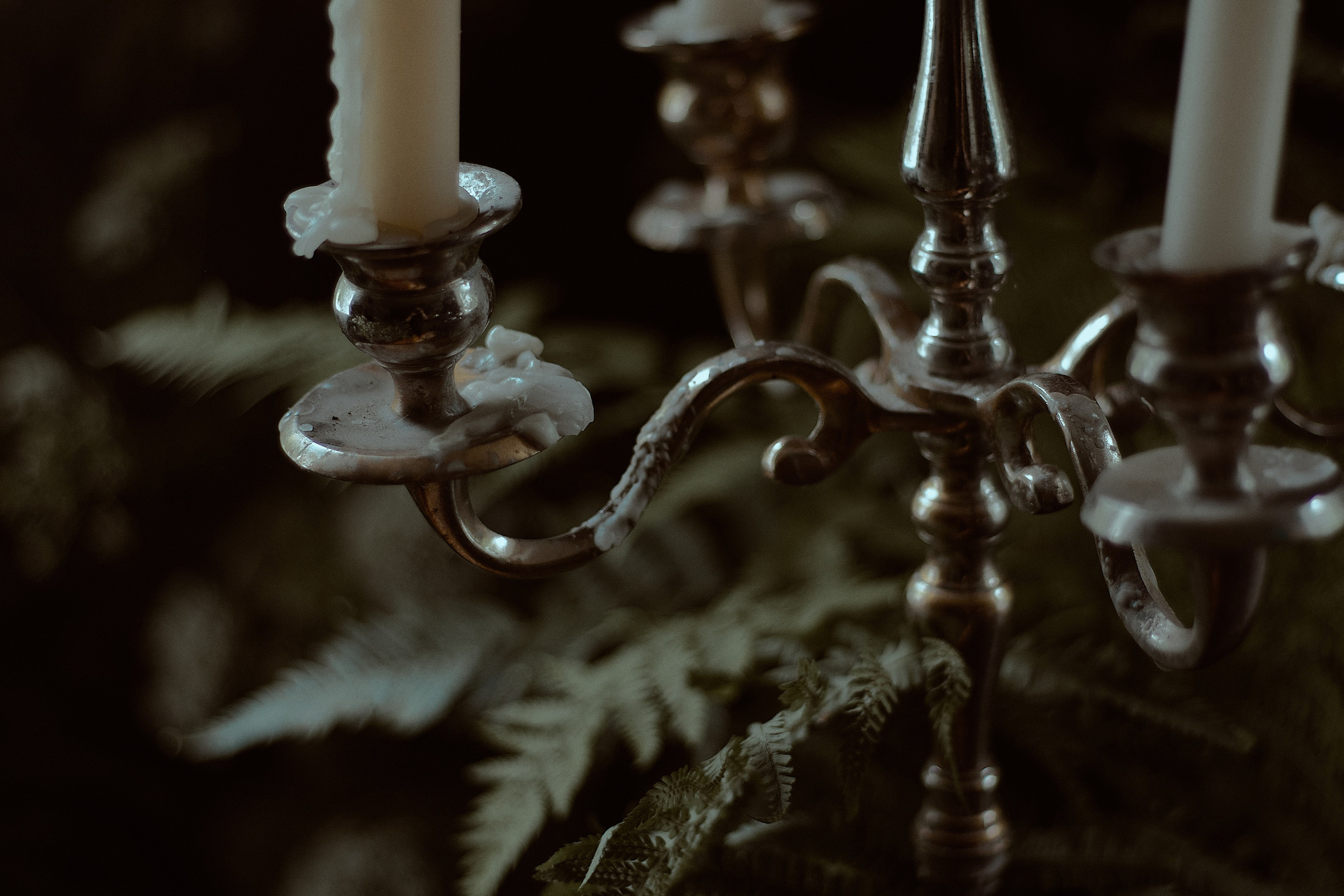 Люпин. Фотограф лавстори Москва/МО Приятелева Ангелина