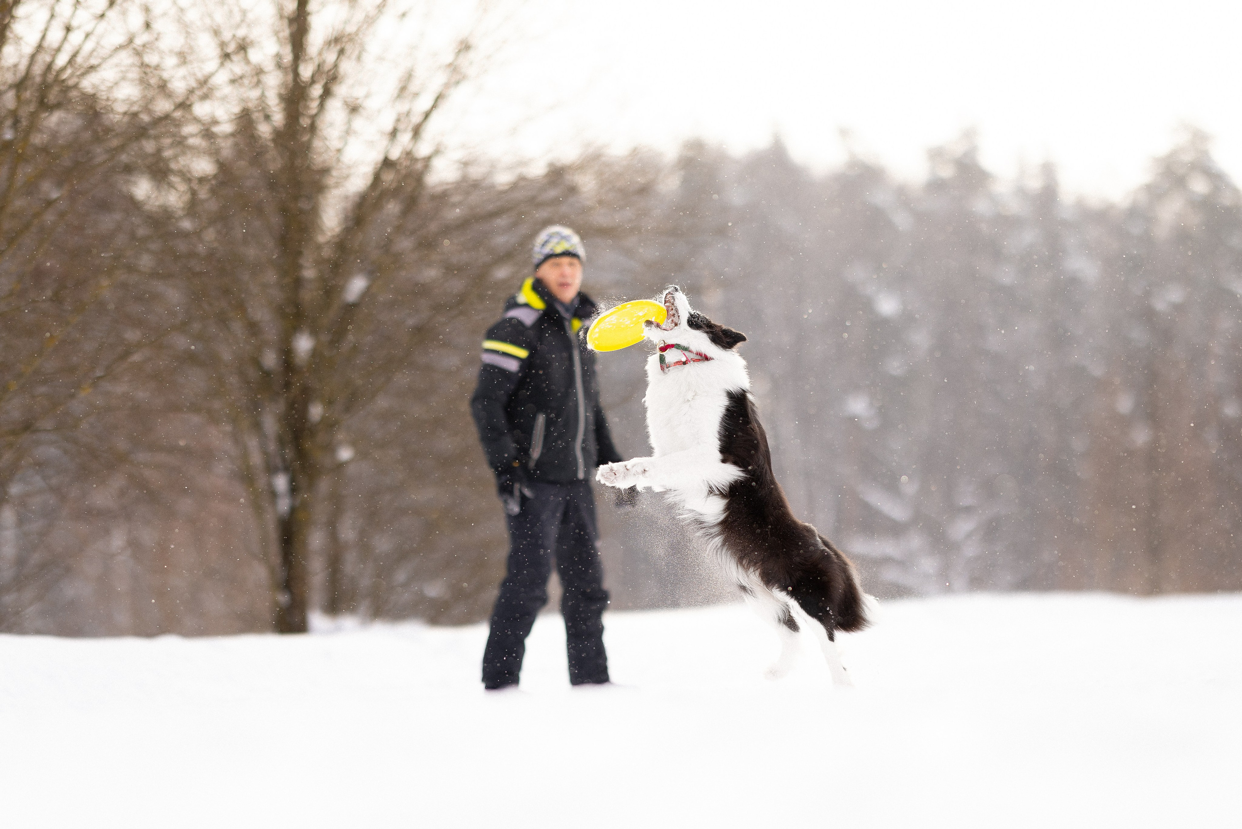 Лилия, Алексей и Ариана. Фотограф и видеограф анималист Аганина Дарья