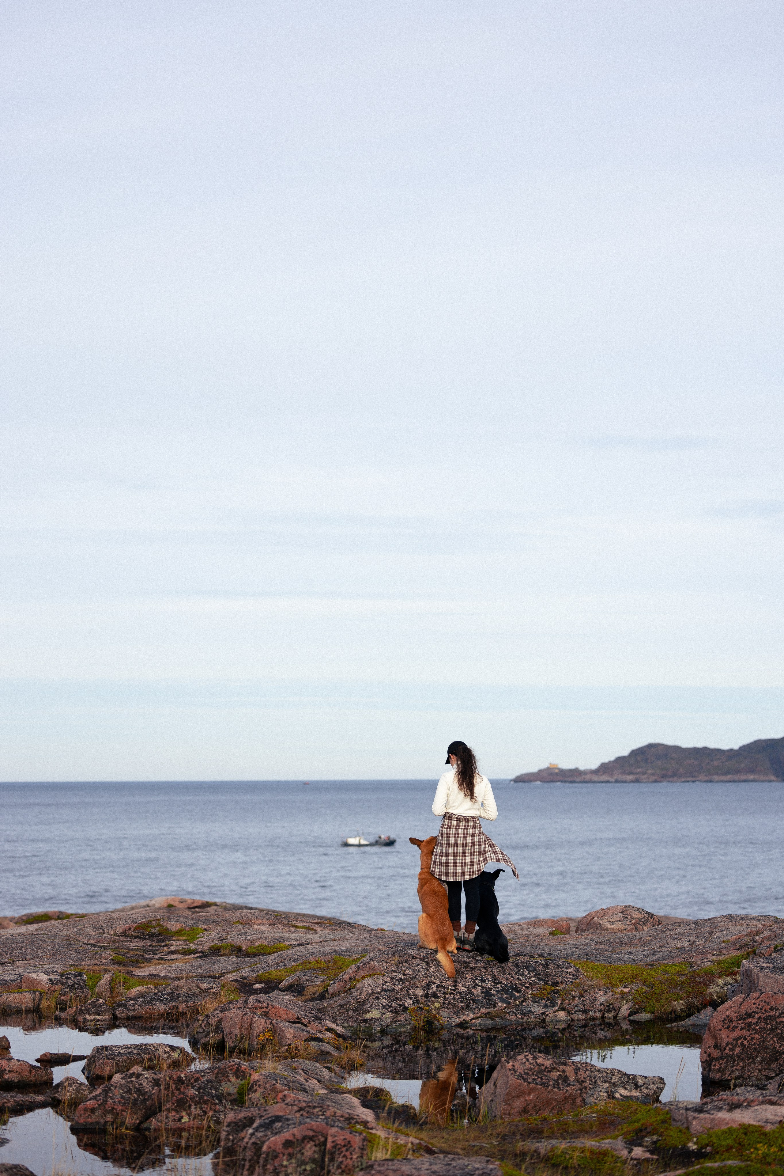 Кольский. Фотограф и видеограф анималист Аганина Дарья