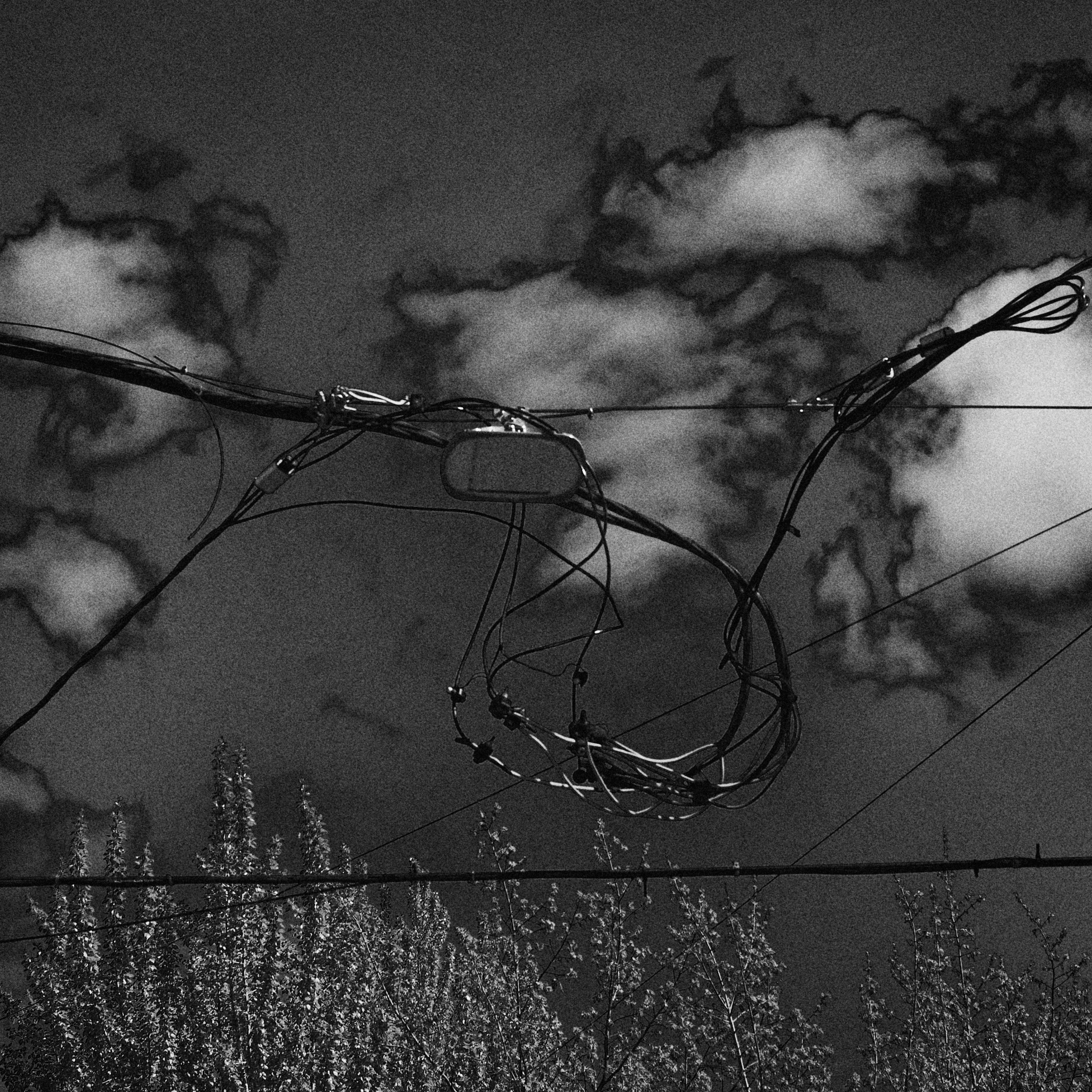 Наблюдения. Фотограф Евгений Холодный