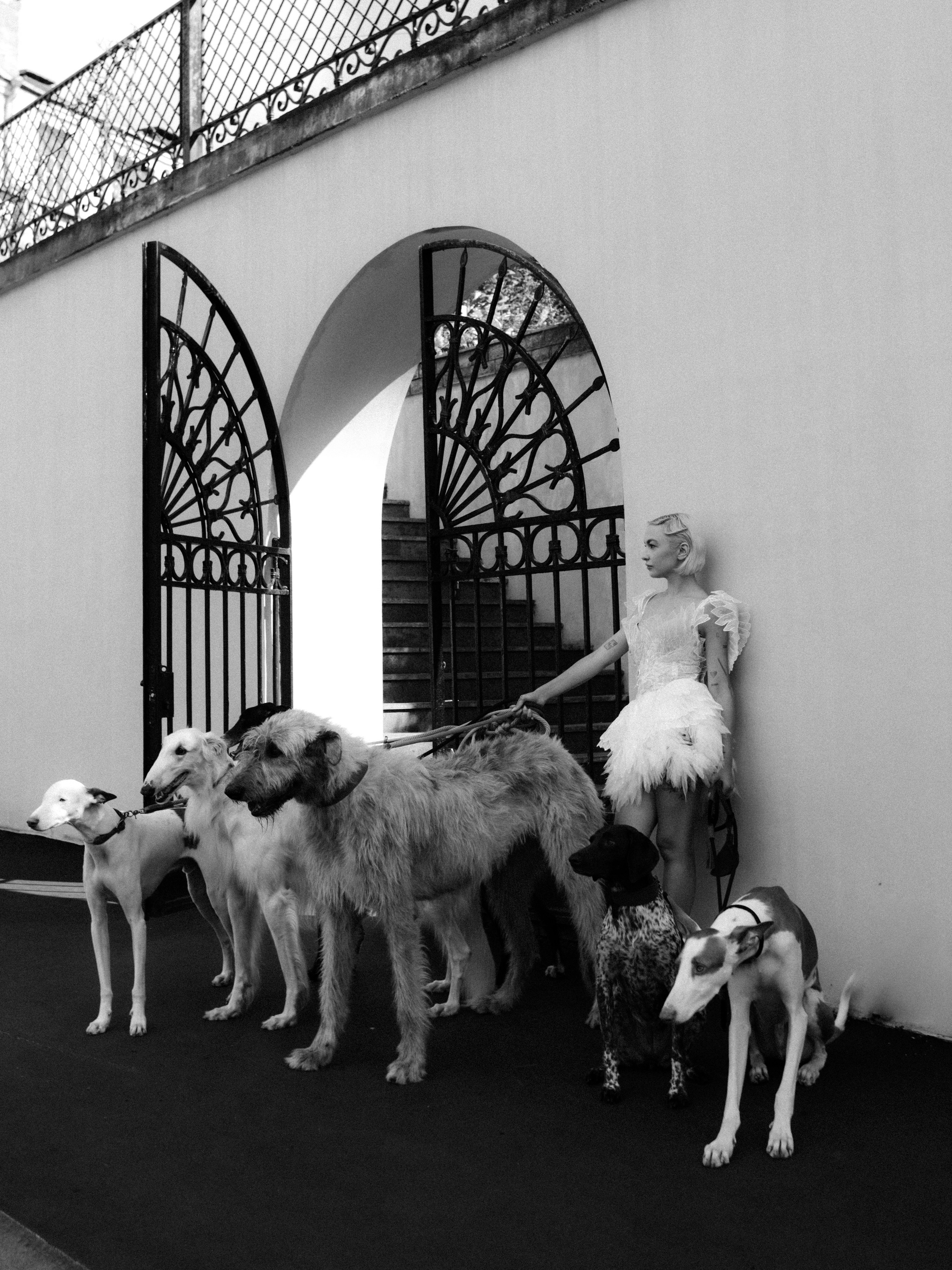 Dogbar. Dariaegudina.ru