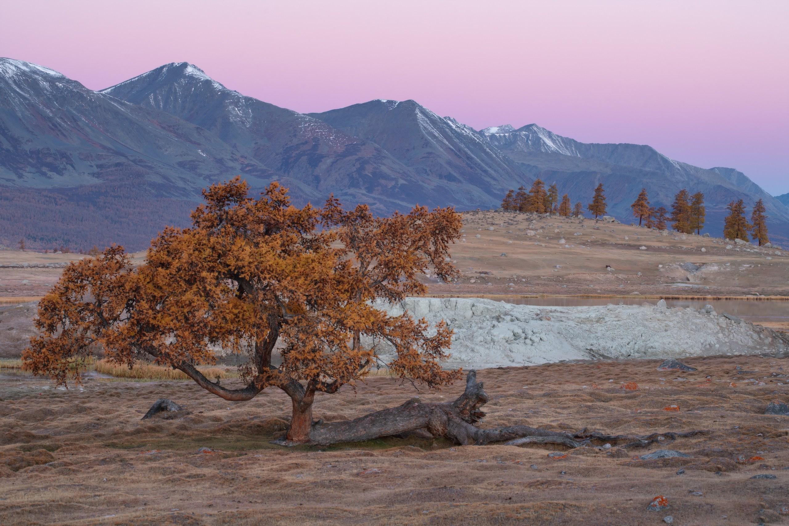 Монголия. Фотограф в Красноярске Нерозя Александр. Пейзаж, природа, портрет