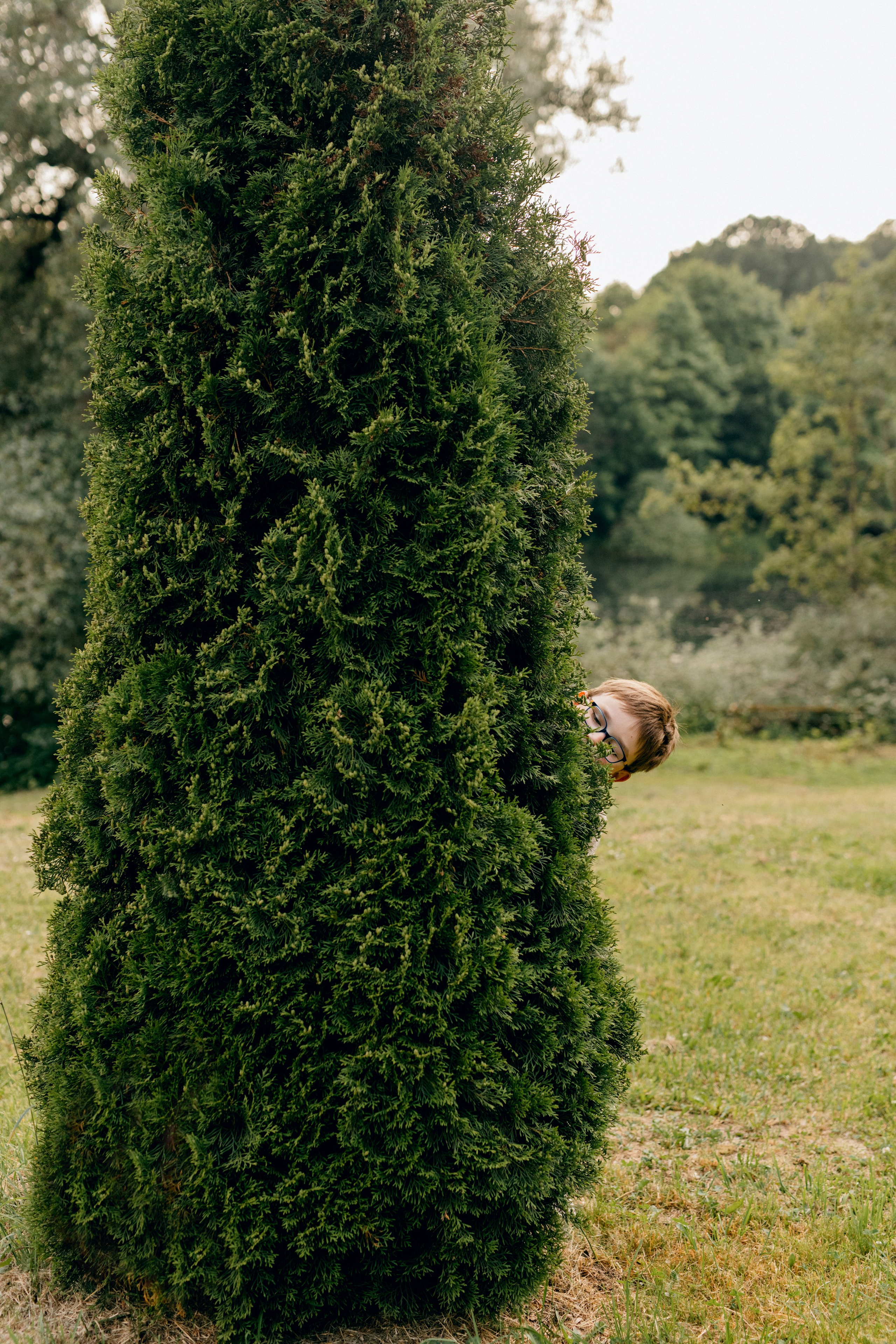 Маргаритки. Варвара Синицына: семейный фотограф в Москве