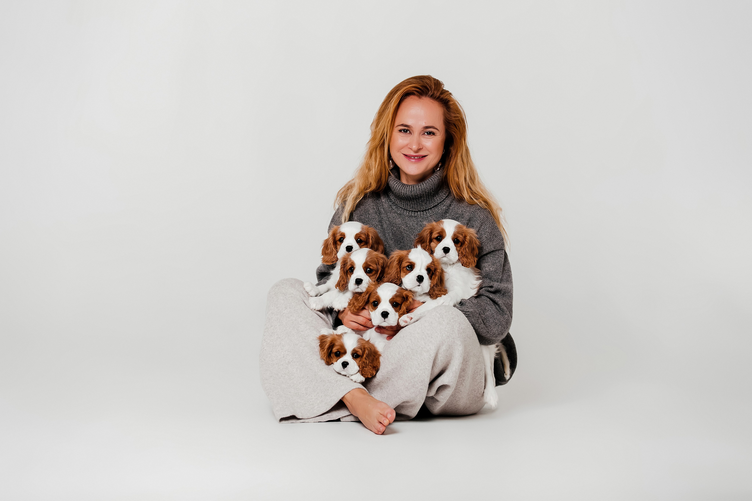 Щенки кавалера в фотостудии. Фотограф-анималист в Краснодаре Маша Мельникова