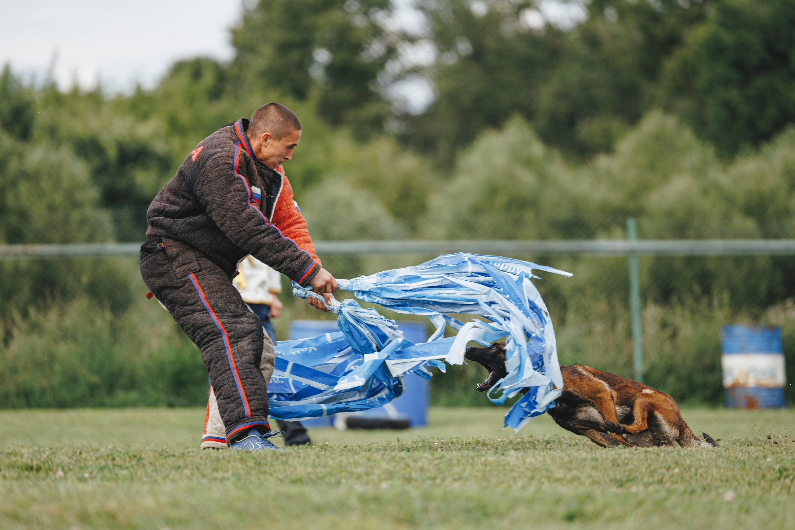 08.08.25-10.08.25 ЧР по мондьорингу г. Вологда. Фотограф-анималист Анна Маринич