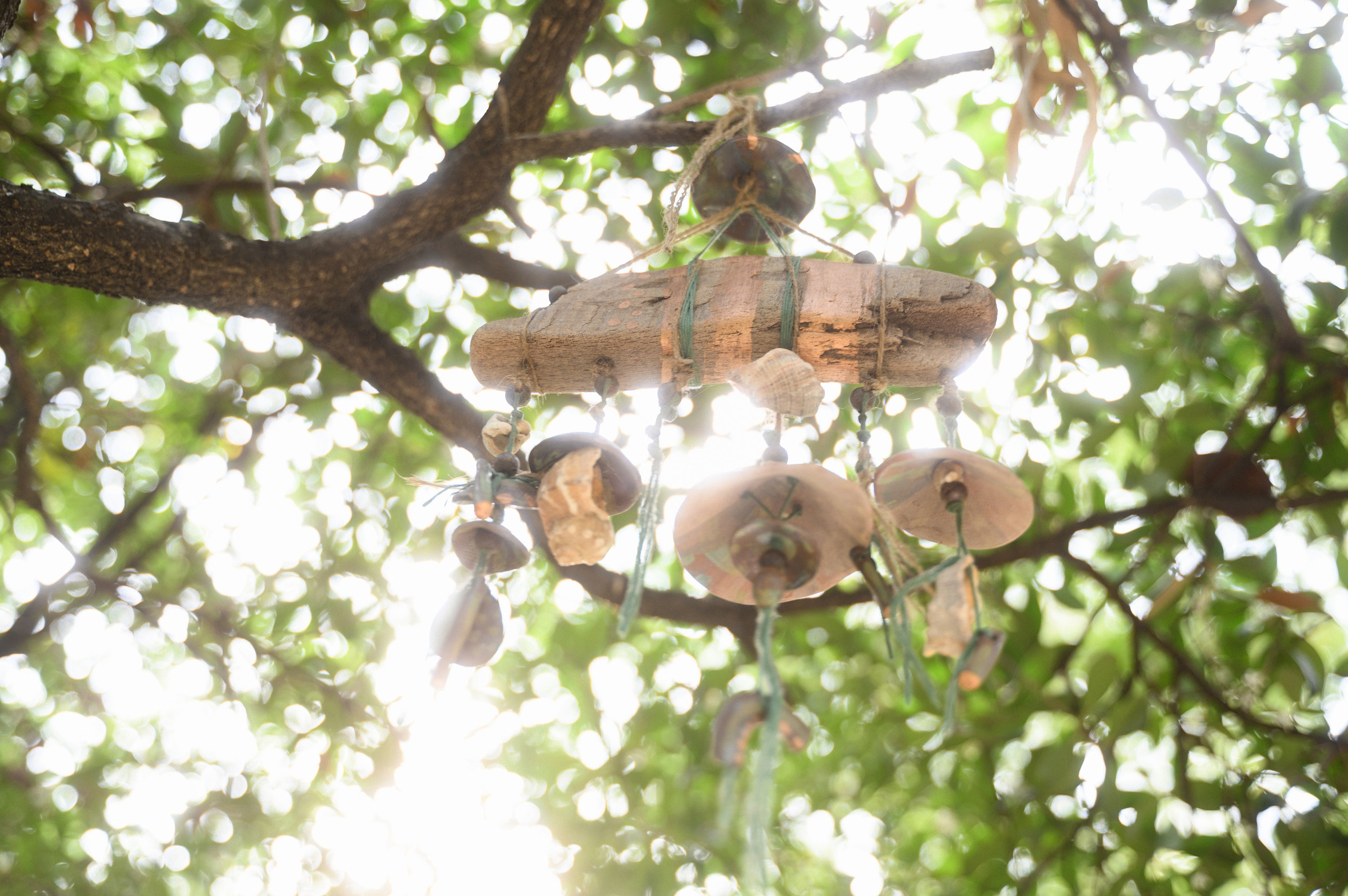 Фотосессия в Сочи в парке для всей семьи — профессиональные снимки на свежем воздухе