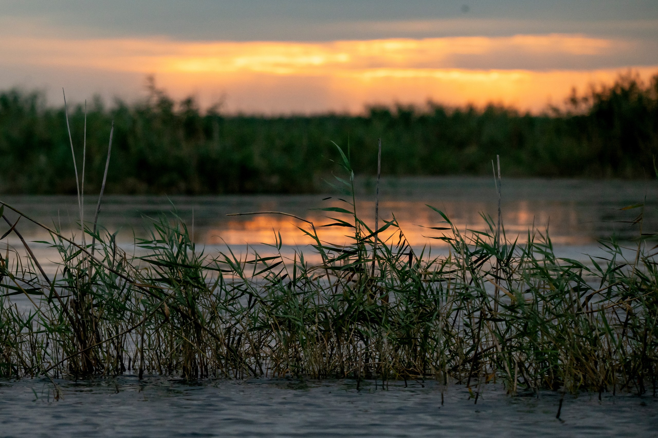 Природа Дагестана, сентябрь 2024. Foto-Zuev фотография как искусство