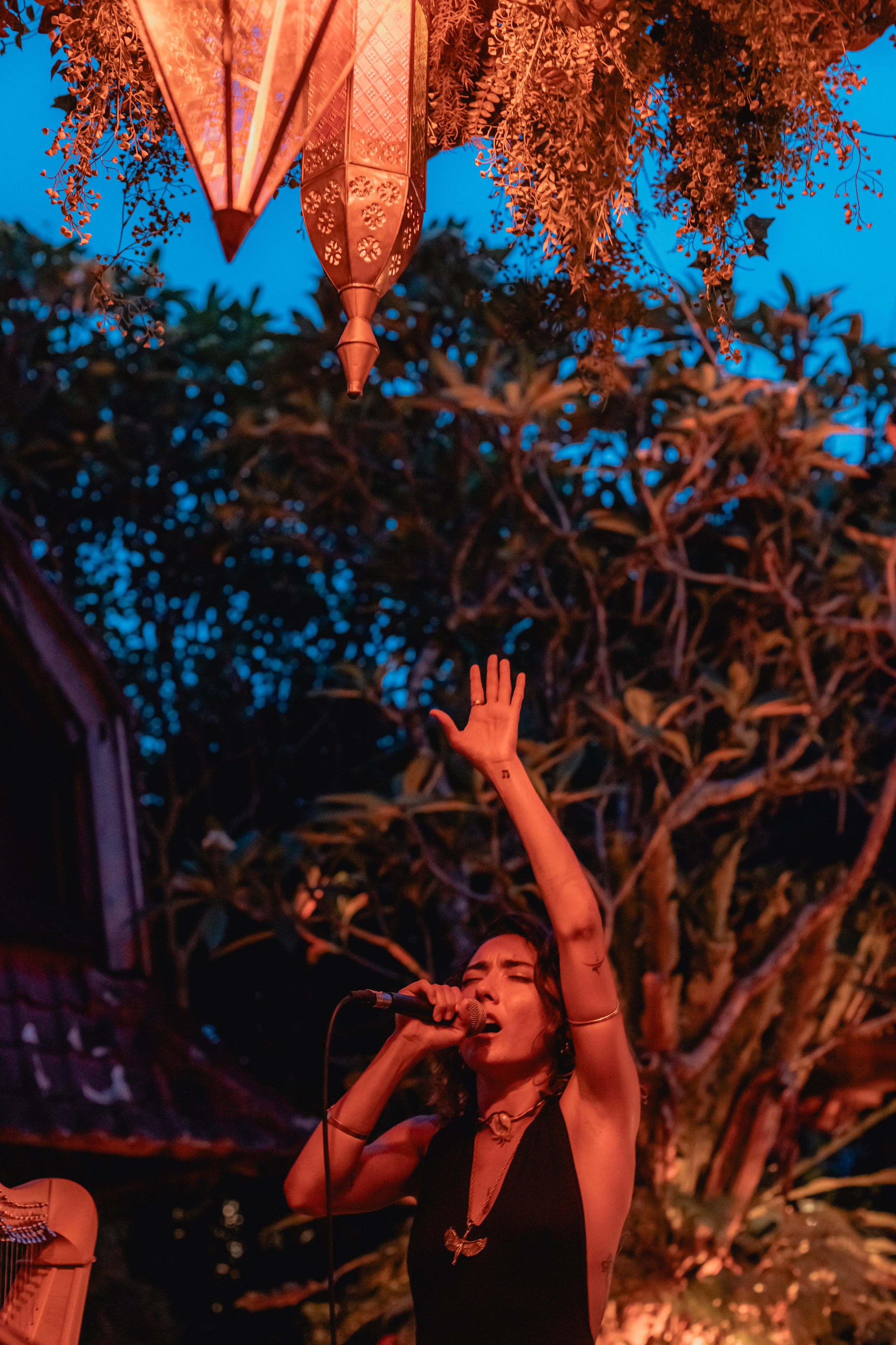 Alegria festival at Zest. Мариам Багдасарян