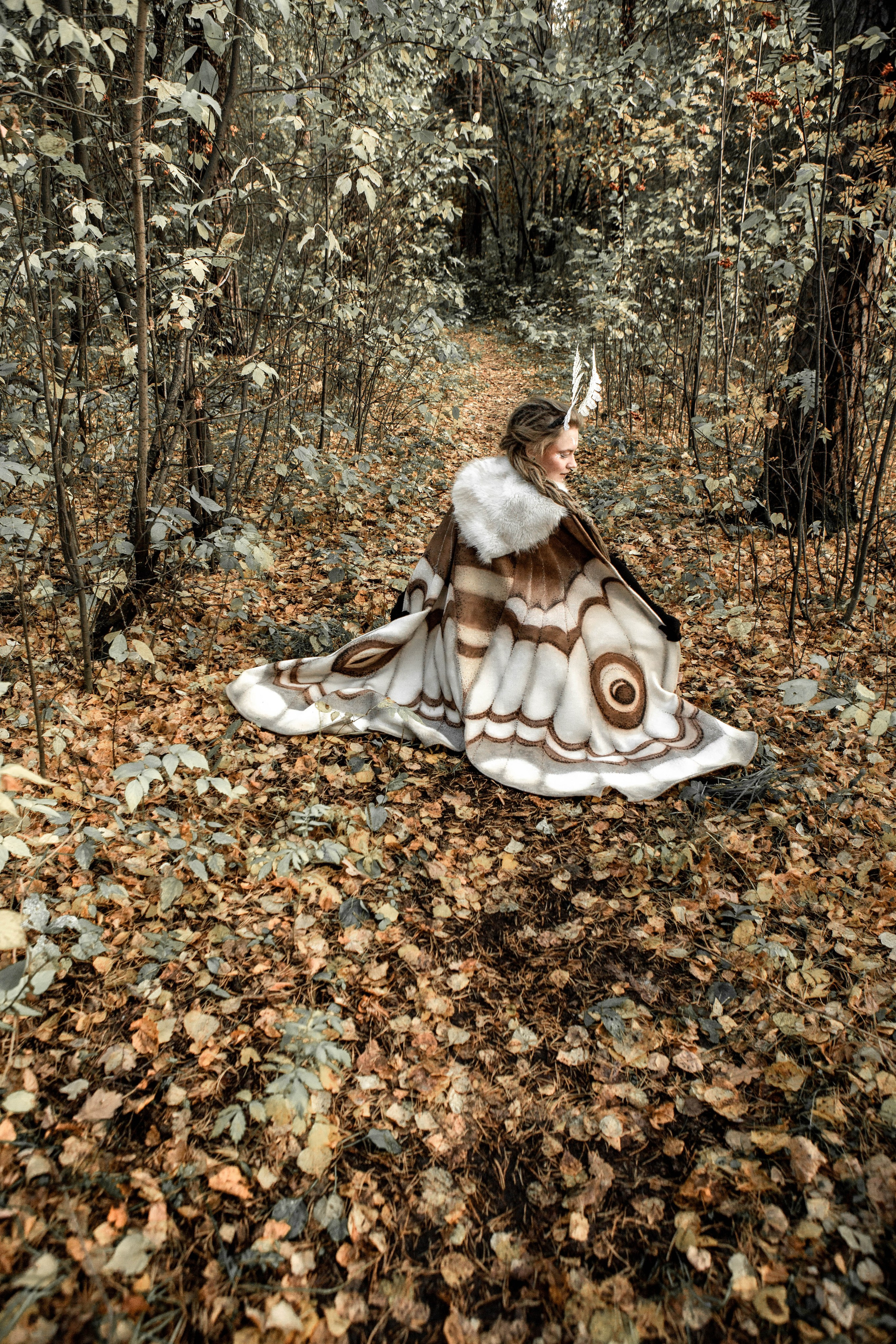 Волшебный лес. Фотограф Екатерина Голицына