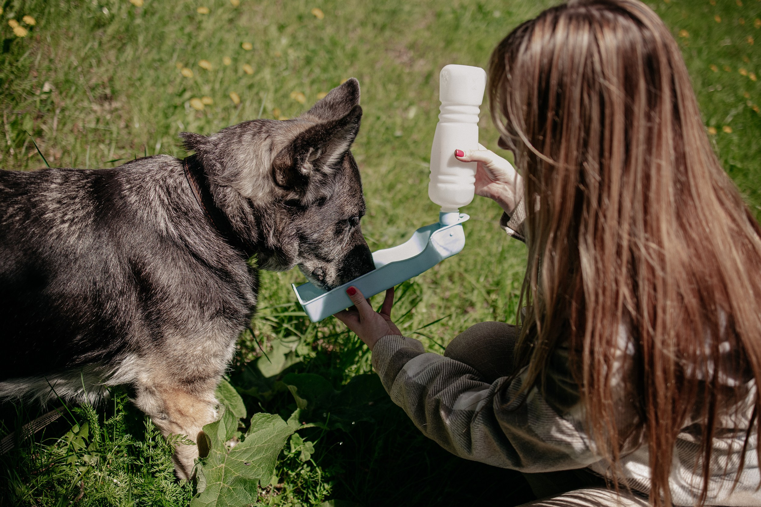 Анжелика и Линда. Фотограф Наталья Потапова