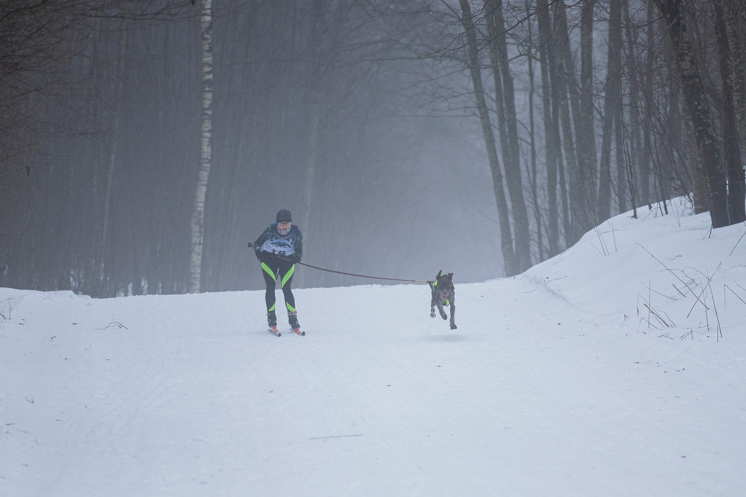 Зимний Чемпионат Санкт-Петербурга по ездовому спорту. Фотограф-анималист Анна Маринич