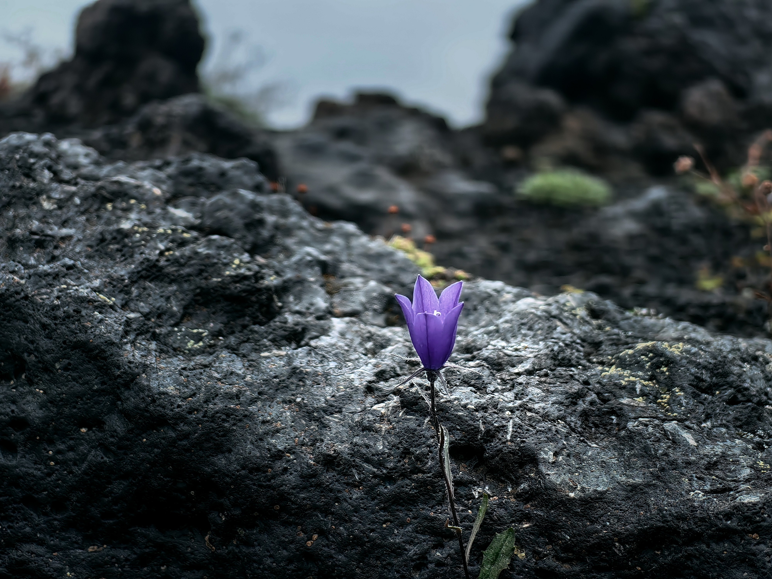 Камчатка. Travel-фотограф Ирина Милинцова