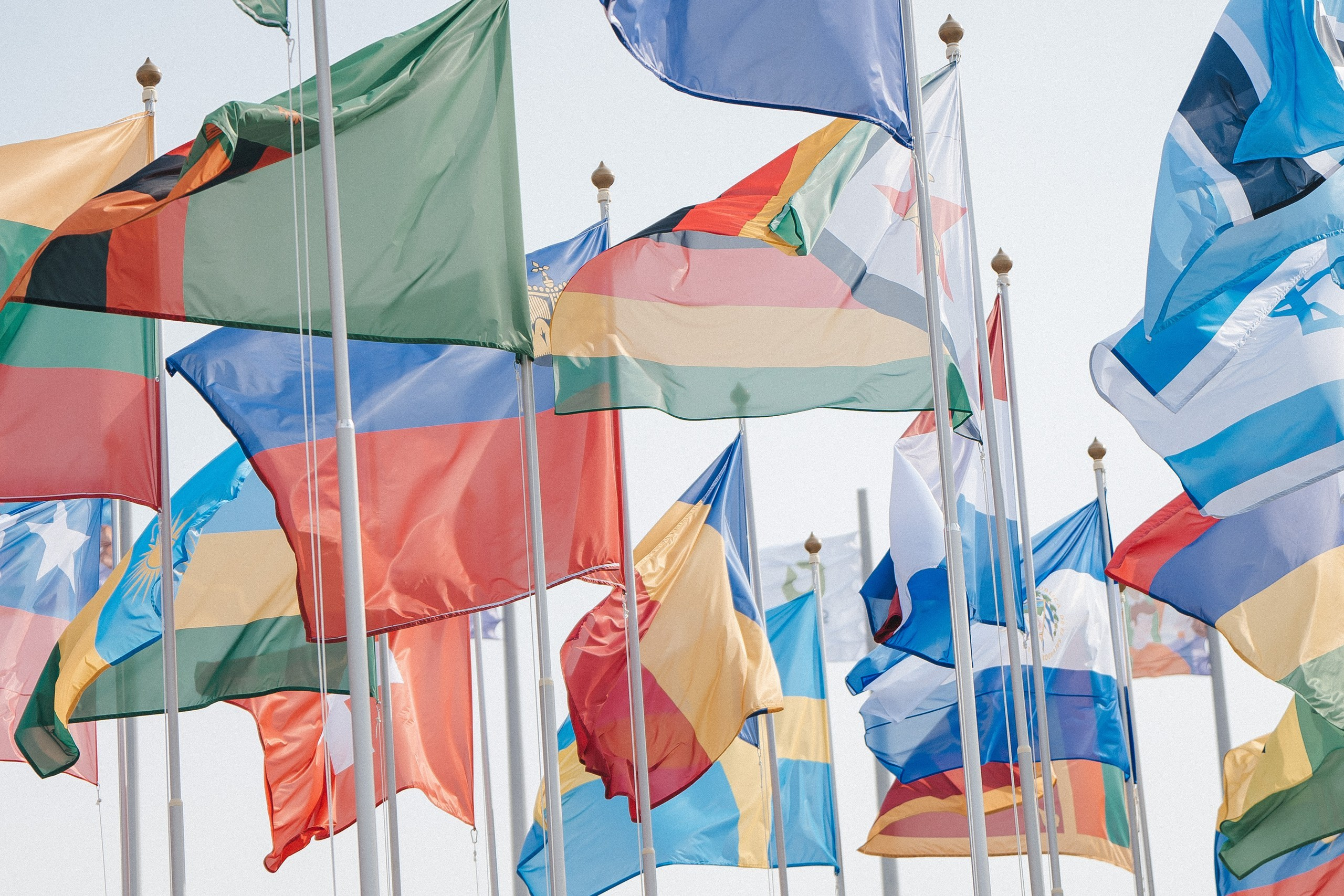 Всемирный фестиваль молодёжи | Сириус | 2024