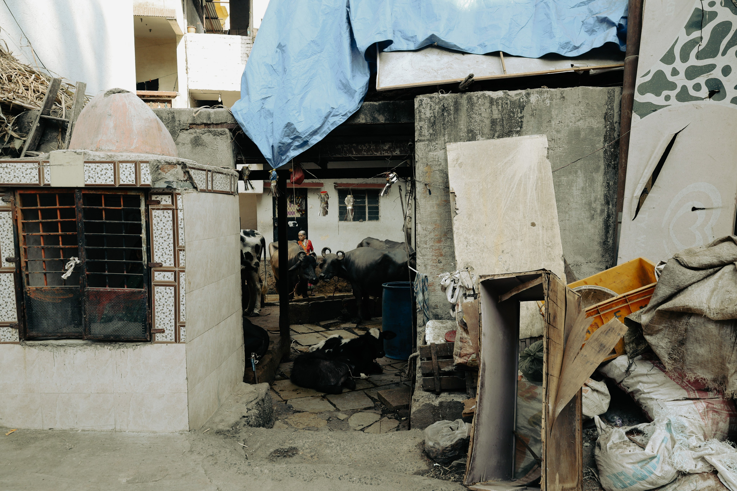 India. Фотограф в Москве