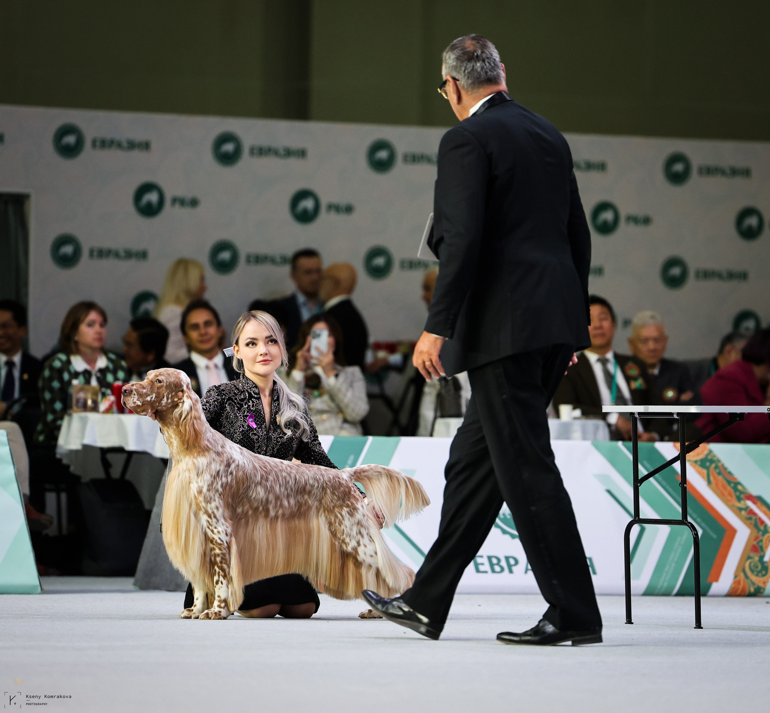 Анималистика. Репортаж. Индивидуальная съемка