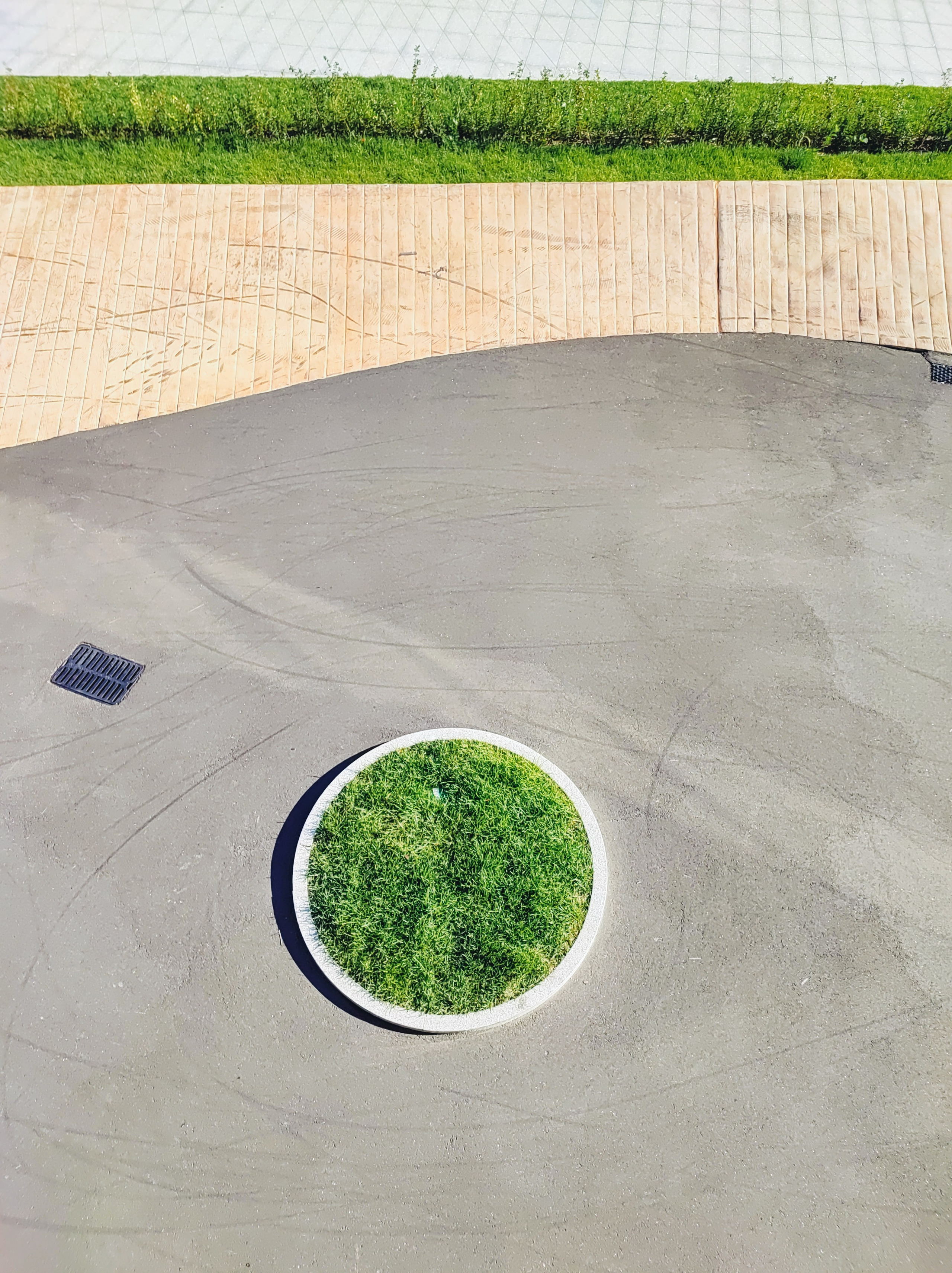 Намобилкус питерский. Репортажный фотограф Алексей Пирязев