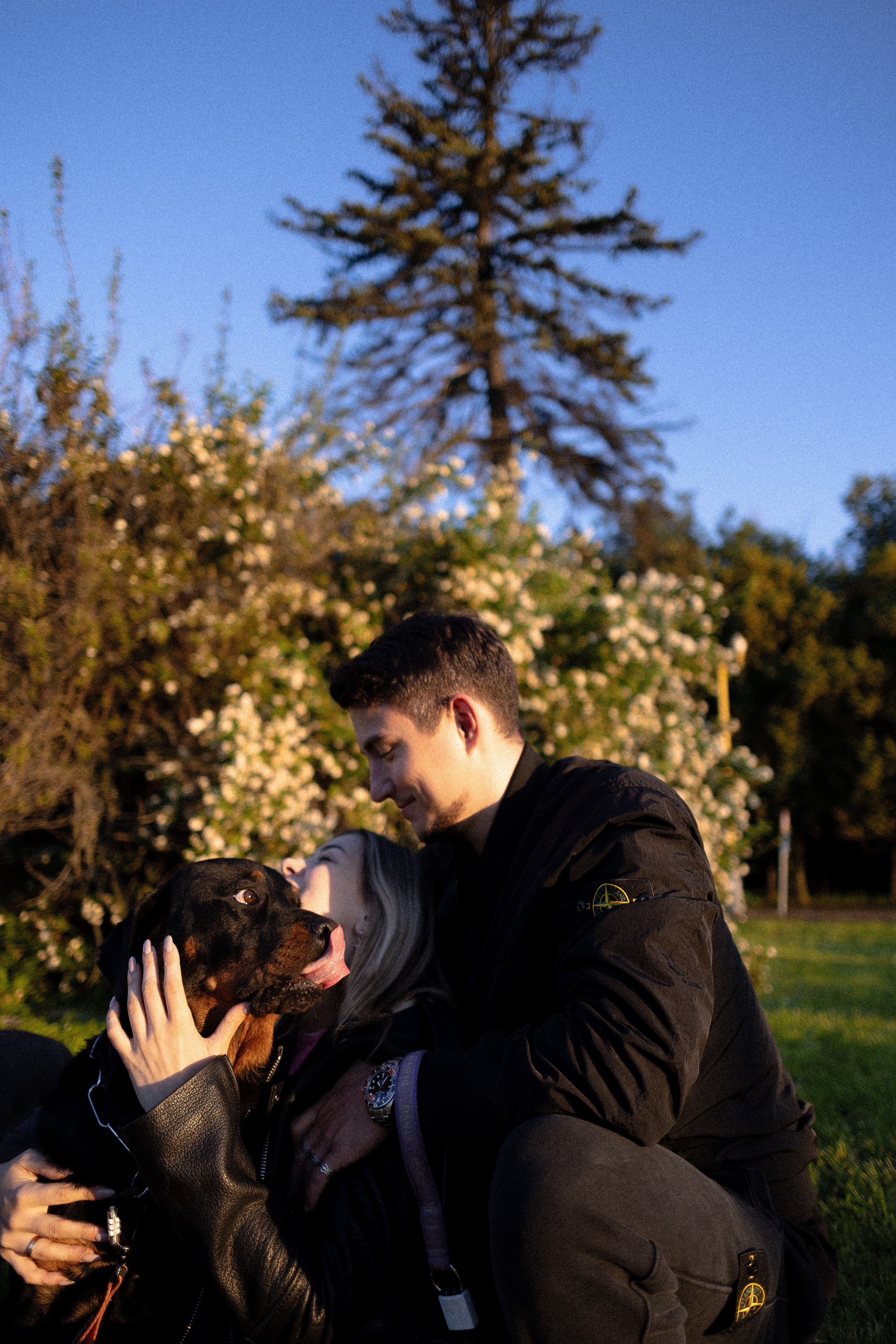 Катя, Леша, Лея и Трой. Фотограф и видеограф анималист Аганина Дарья