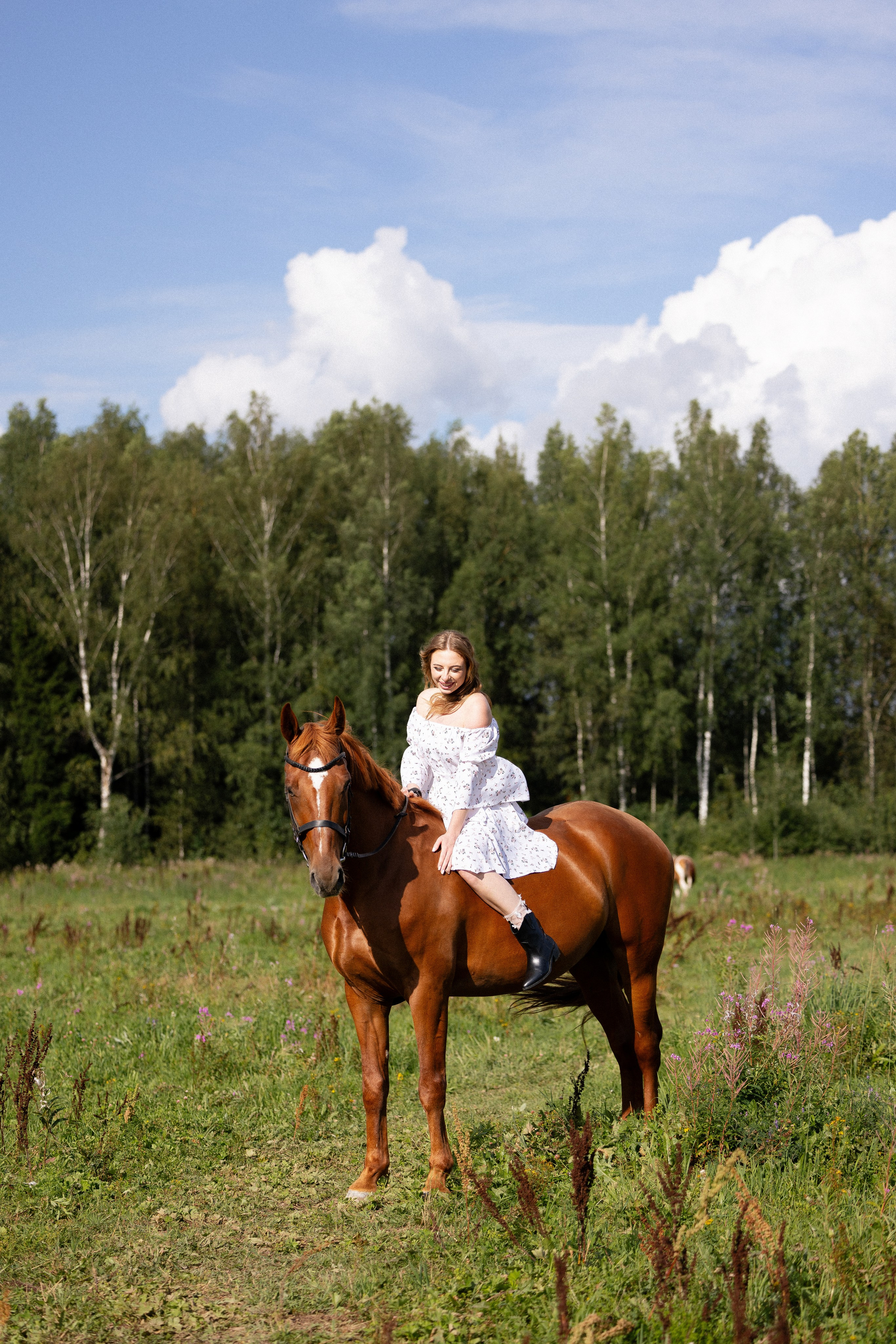 Мария и Реванш. Фотограф и видеограф анималист Аганина Дарья