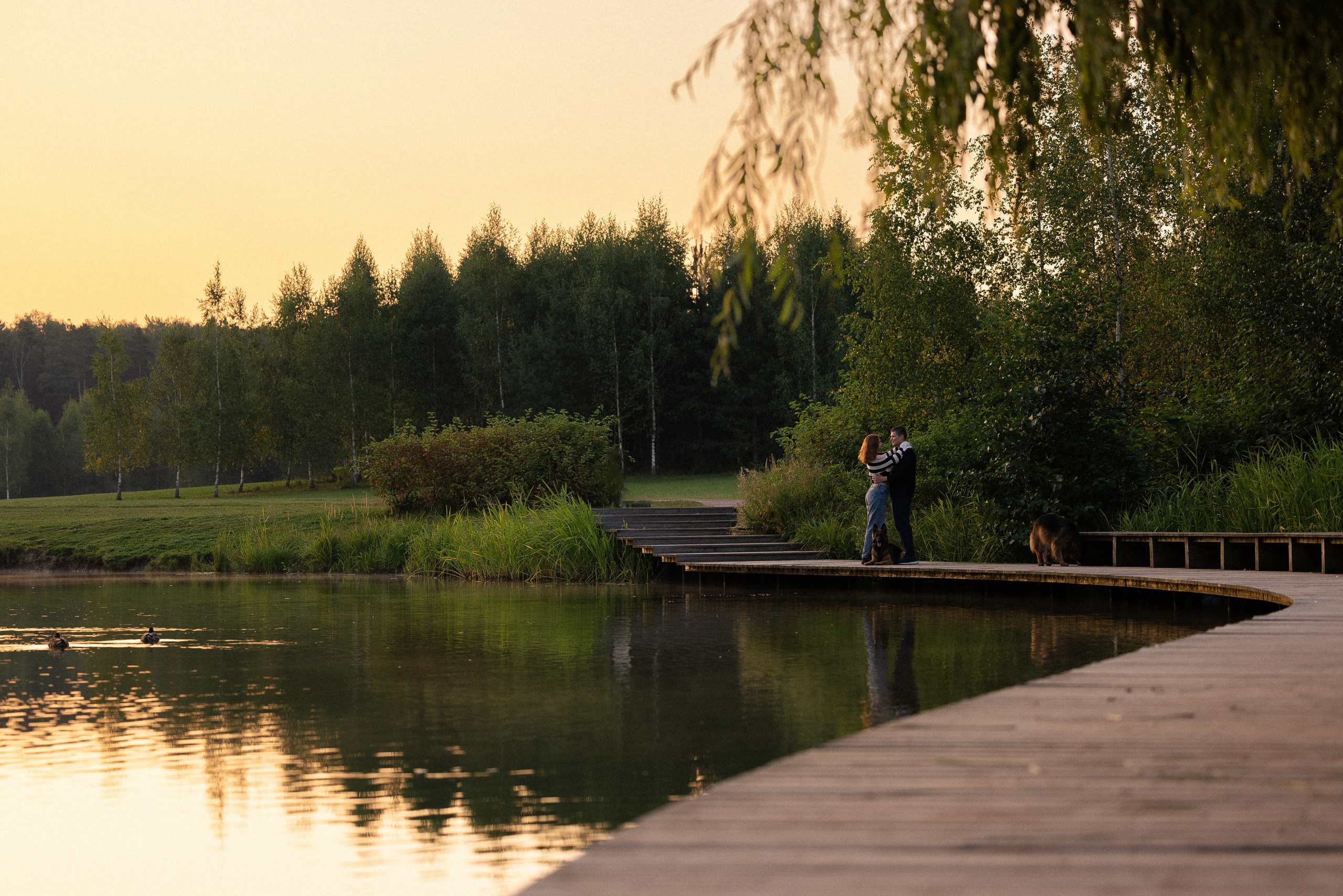 Алена, Матвей, Фанни и Фрея. Фотограф и видеограф анималист Аганина Дарья