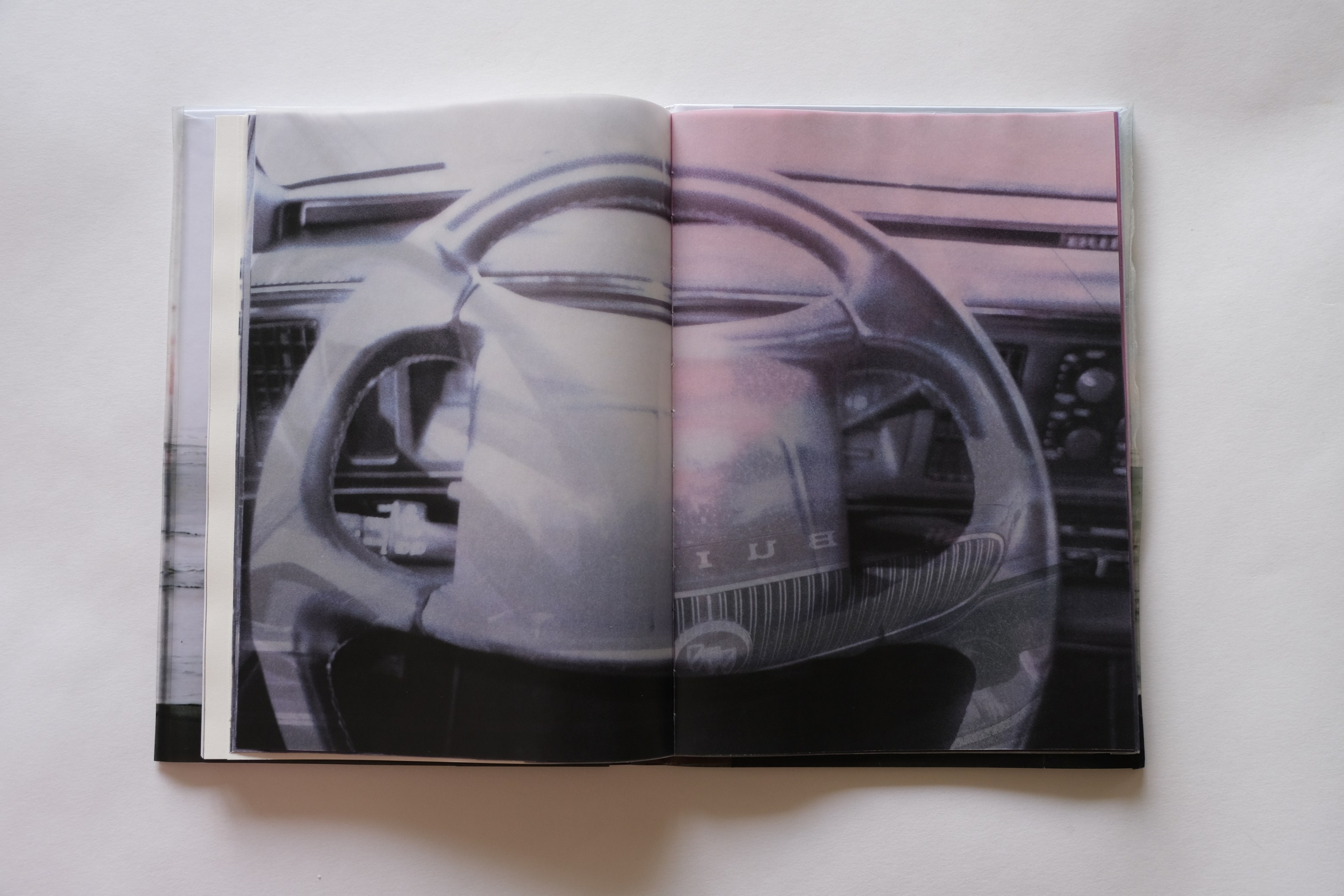 BuickleSabre1998 [книга/work in progress]. Аня белка — художница и фотограф