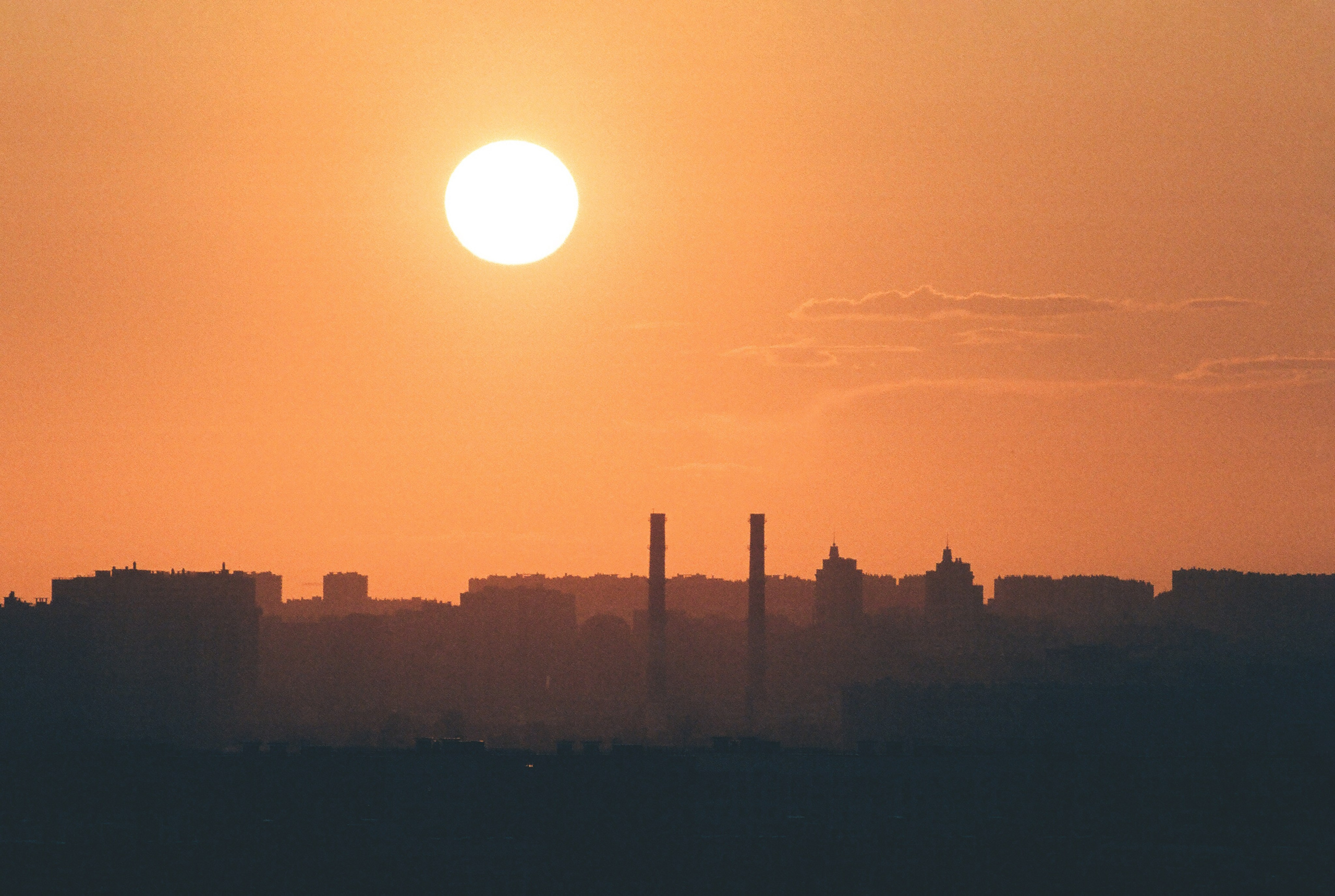 Фотографии цветные. Свадебный и семейный пленочный фотограф в Петербурге Истомина Ирина