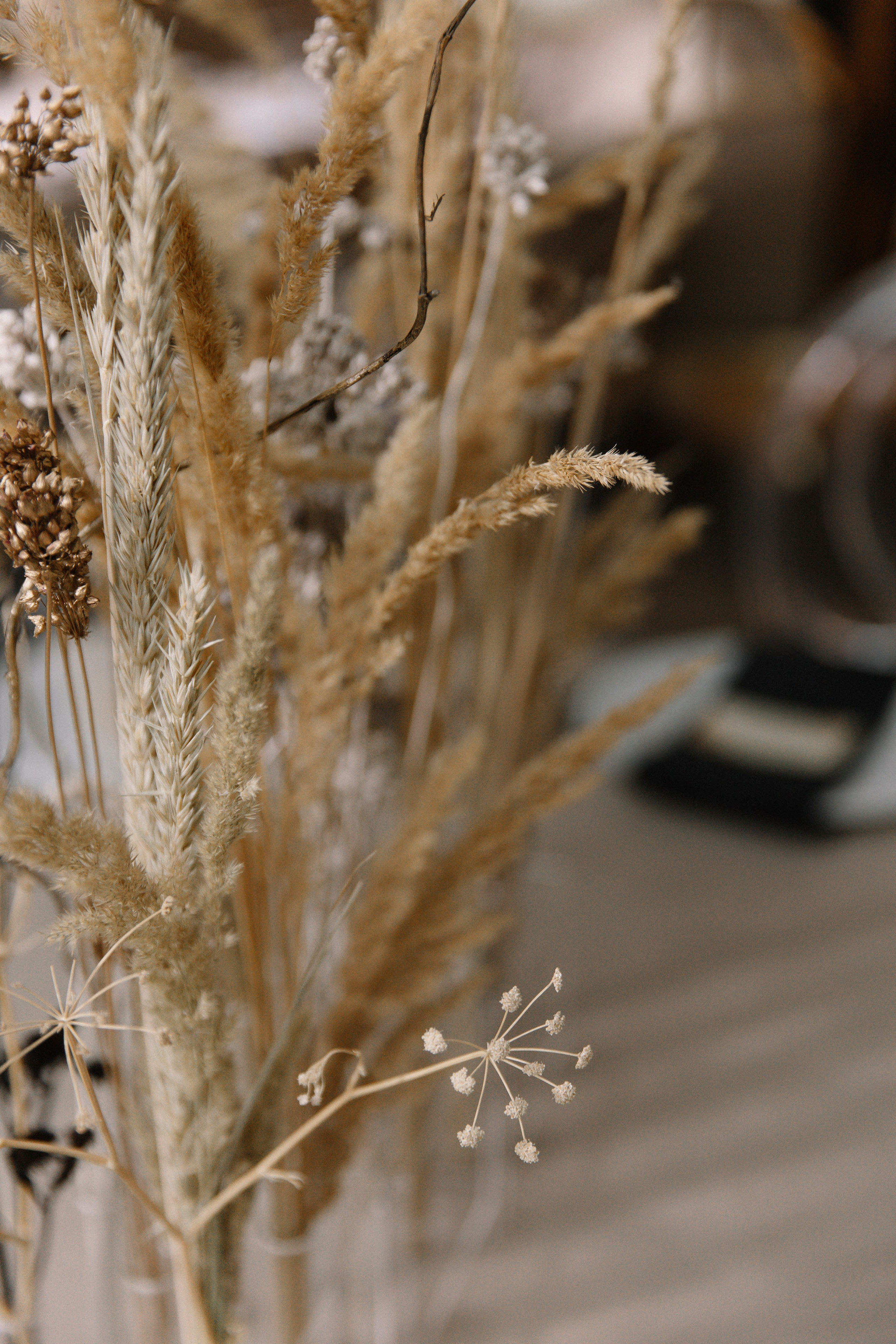 Ну мёёёд!. Свадебный фотограф Алина Хабарова