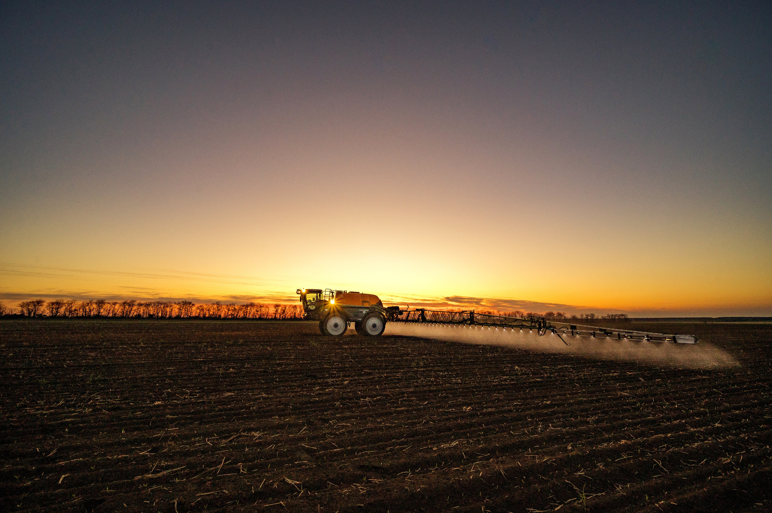 Проекты. Профессиональный фотограф Вячеслав Плацында | Липецк |
