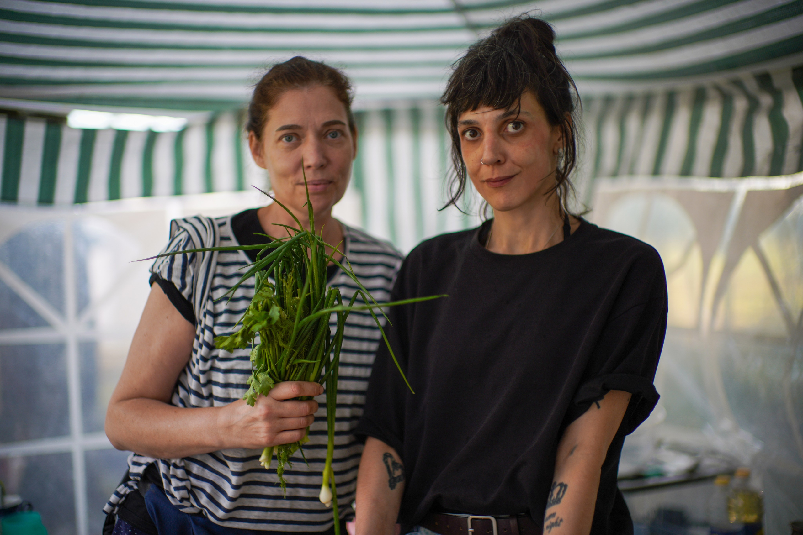 Wild fire 2024 — Дикий огонь 2024