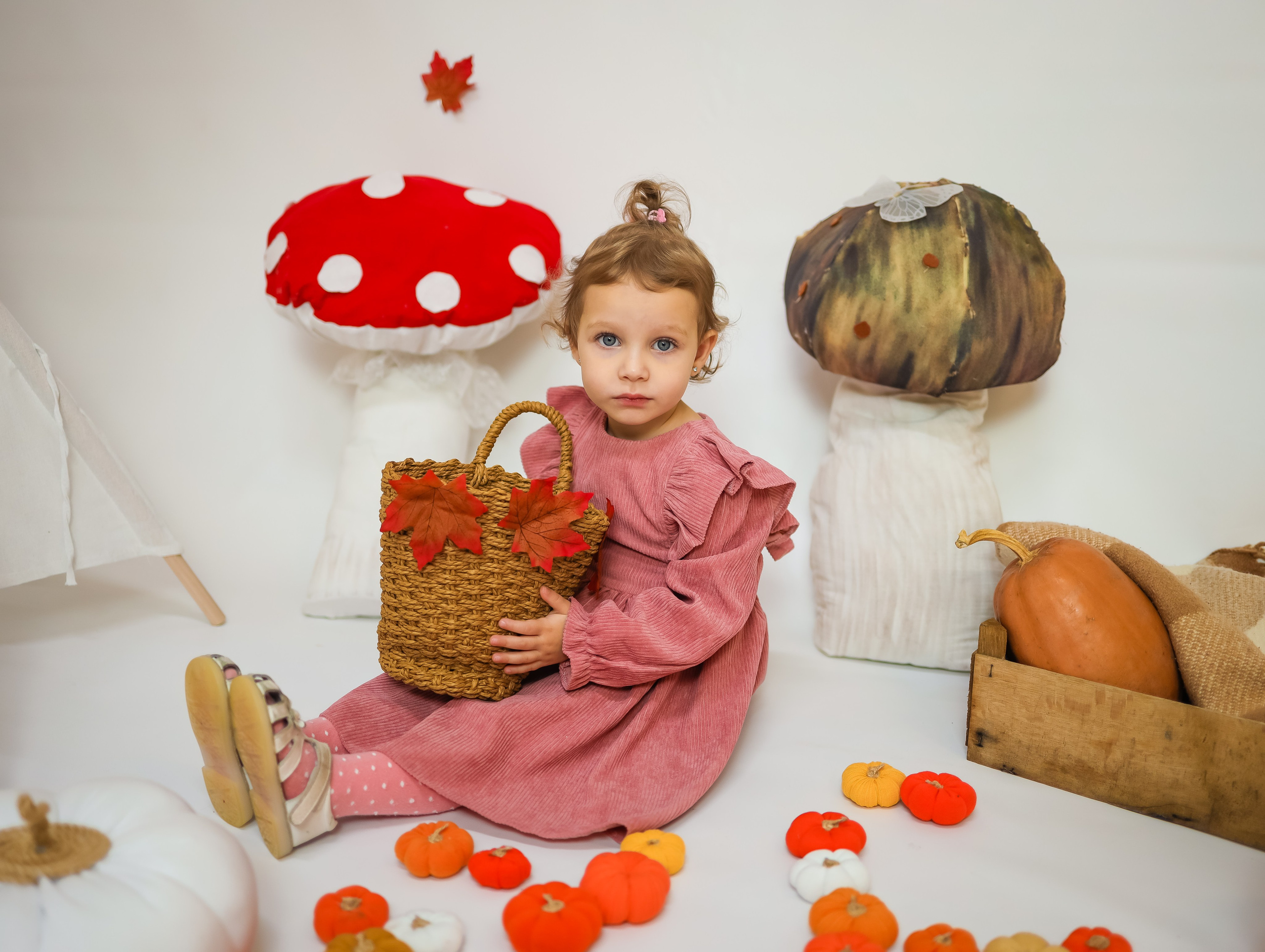 Проект «Осень и музыка». Главная