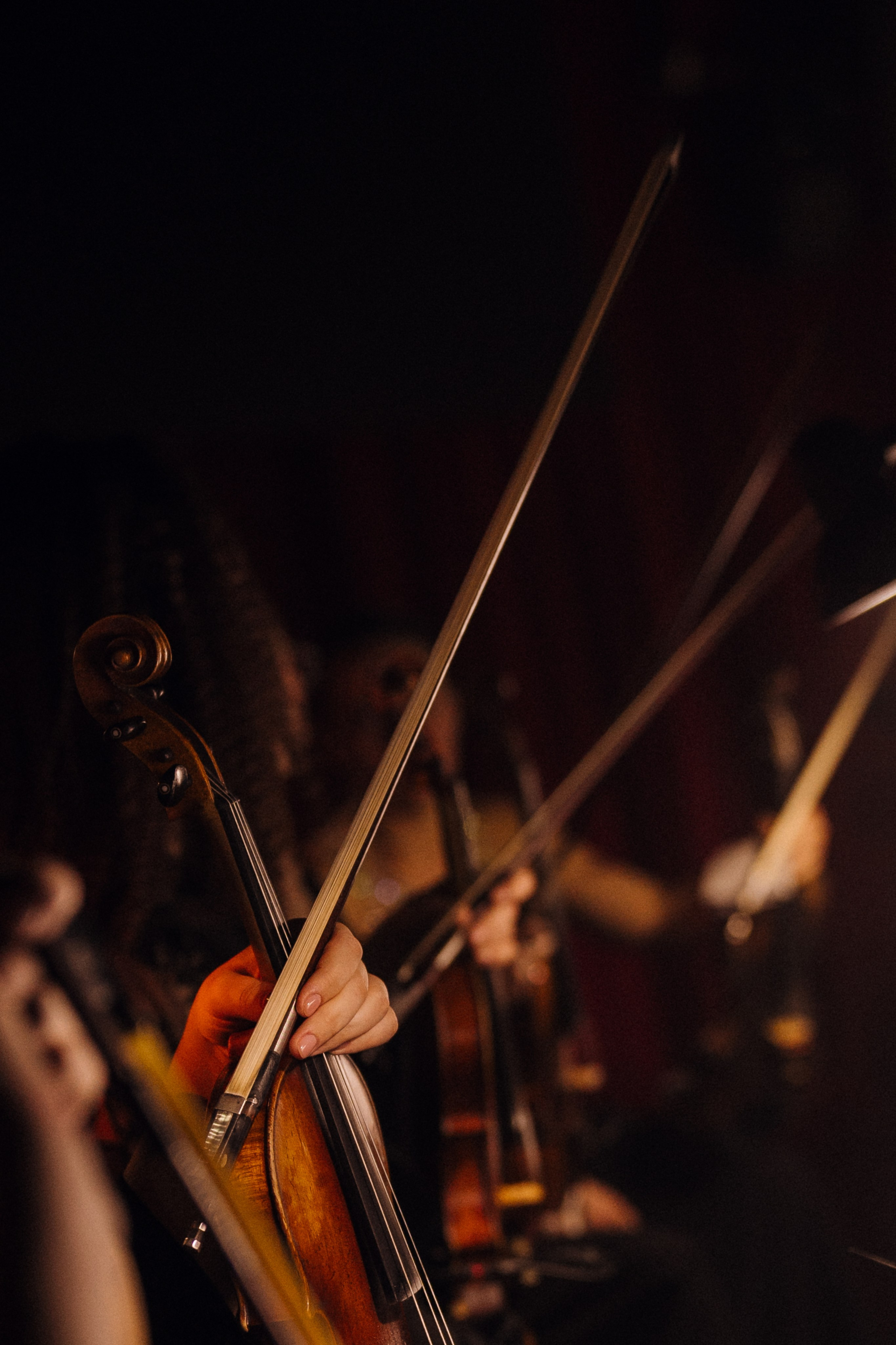 Концерт «ТИТРЫ»: Рита Ричи и оркестр Ильи Филиппова 15.02.25. Свадебный фотограф в Краснодаре и Сочи Винидиктова Екатерина