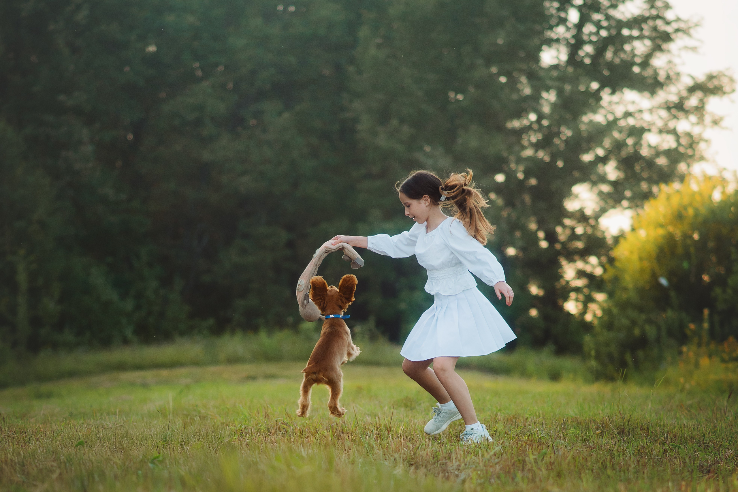 Наташа, Агата, Назар и Август — 17.07.2025. Фотограф — Анималист | Анна Абрамова