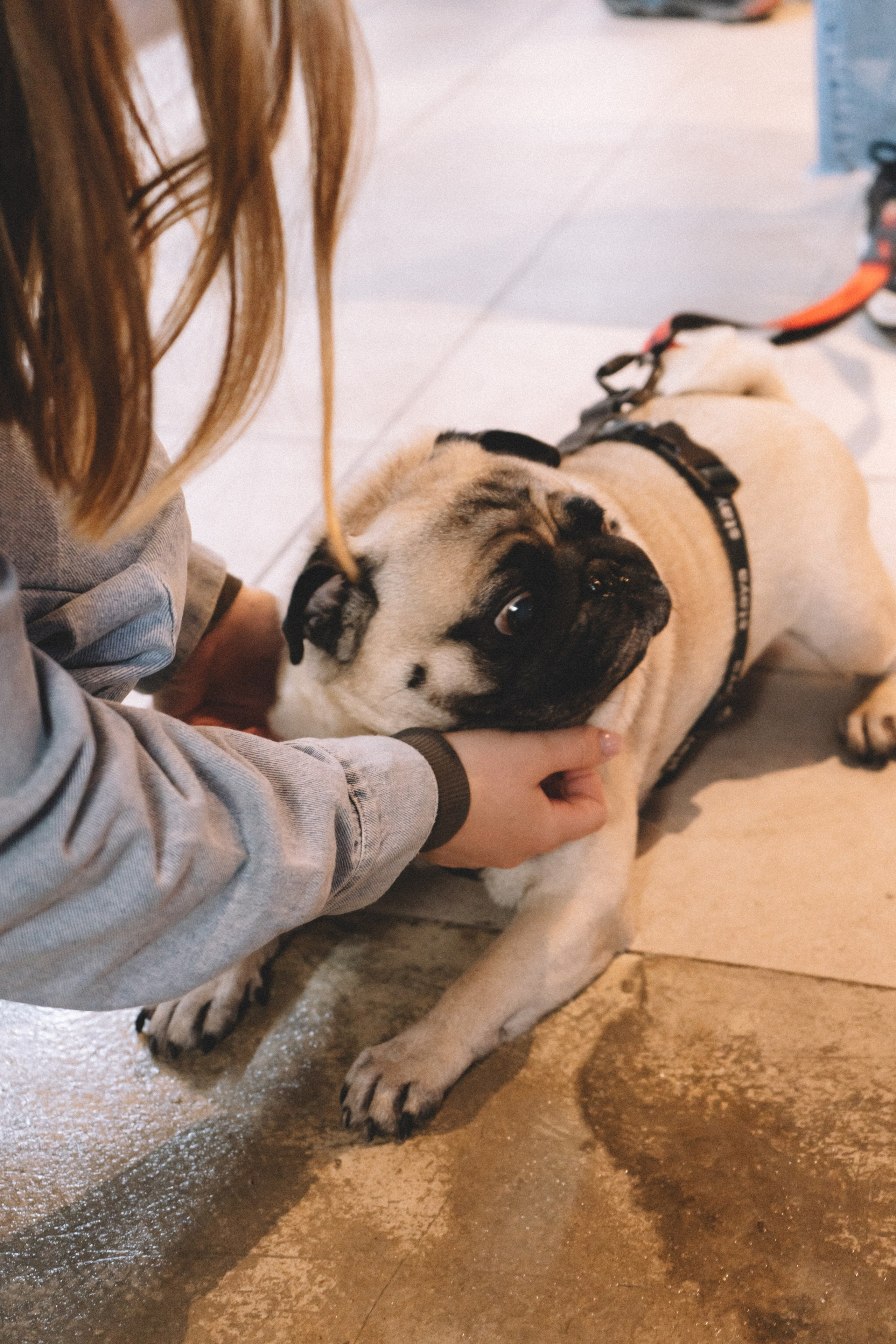 Yankee sierra. Анастасия Попова — Fashion photographer